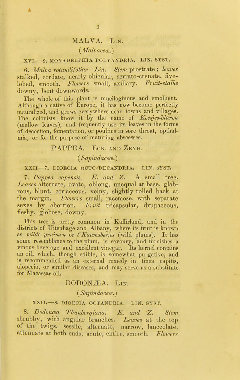 MALVA. Lin. (MalvacecB.) XVI.—9. MONADELPHIA POLYANDRIA. LIN. SYST. 6. Maloa rotundifolia.- Lin. Stem prostrate ; leaves stalked, cordate, nearly obicular, serrato-crenate, five- lobed, smooth. Flowers small, axillary. Fruit-stalks downy, bent downwards. The whole of this plant is mucilaginous and emollient. Although a native of Europe, it has now become perfectly naturalized, and grows everywhere near towns and villages. The colonists know it by the name of Keesjes-blaren (mallow leaves), and frequently use its leaves in the forms of decoction, fomentation, or poultice in sore throat, opthal- mia, or for the purpose of maturing abscesses. PAPPEA. Eck. AND Zeyh. (Sapindacece.) XXII—7. DIOECIA OCTODECANDRIA. LIN. SYST. 7. Pappea capensis. E. and Z. A small tree. Leaves alternate, ovate, oblong, unequal at base, glab- rous, blunt, coriaceous, veiny, slightly rolled back at the margin. Flowers small, racemose, with separate sexes by abortion. Fruit tricapsular, drupaceous, fleshy, globose, downy. This tree is pretty common in Kaffirland, and in the districts of Uitenhage and Albany, where its fruit is known as wilde pruimm or t'Kaamsbesjes (wild plums). It ha3 some resemblance to the plum, is savoury, and furnishes a vinous beverage and excellent vinegar. Its kernel contains an oil, which, though edible, is somewhat purgative, and is recommended as an external remedy in tinea capitis, alopecia, or similar diseases, and may serve as a substitute for Macassar oil. DODONJEA. Lin. [Sapindacece.) XXII.—8. DIOECIA OCTANDRIA. LIN. SYST. 8. Dodorma Thunbergiana. E. and Z. Stem shrubby, with angular branches. Leaves at the top of the twigs, sessile, alternate, narrow, lanceolate, attenuate at both ends, acute, entire, smooth. Flowers