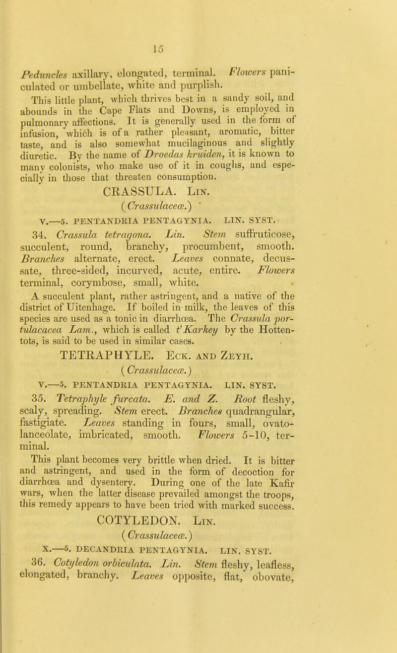 Peduncles axillary, elongated, terminal. Flowers pani- culated or umbellate, white and purplish. This little plant, which thrives best in a sandy soil, and abounds in the Cape Flats and Downs, is employed in pulmonary affections. It is generally used in the form of infusion, which is of a .rather pleasant, aromatic, bitter taste, and is also somewhat mucilaginous and slightly diuretic. By the name of Droeclas kruiden, it is known to many colonists, who make use of it in coughs, and espe- cially in those that threaten consumption. CRASSULA. Lin. ( Crassulacece.) V.—5. PENTANDRIA PENTAGYNIA. LIN. SYST. 34. Crassula tetragona. Lin. Stern suffruticose, succulent, round, branchy, procumbent, smooth. Branches alternate, erect. Leaves connate, decus- sate, three-sided, incurved, acute, entire. Flowers terminal, corymbose, small, white. A succulent plant, rather astringent, and a native of the district of Uitenhage. If boiled in milk, the leaves of this species are used as a tonic in diarrhoea. The Crassula por- tulacacea Lam., which is called fKarkey by the Hotten- tots, is said to be used in similar cases. TETRAPHYLE. Eck. and Zeyh. ( Crassulacece.) V.—5. PENTANDRIA PENTAGTNIA. LIN. SYST. 35. Tetraphyle furcata. E. and Z. Root fleshy, scaly, spreading. Stem erect. Branches quadrangular, fastigiate. L,eaves standing in fours, small, ovato- lanceolate, imbricated, smooth. Flowers 5-10, ter- minal. This plant becomes very brittle when dried. It is bitter and astringent, and used in the form of decoction for diarrhoea and dysentery. During one of the late Kafir wars, when the latter disease prevailed amongst the troops, this remedy appears to have been tried with marked success. COTYLEDON. Lin. (Crassulacea.) X.—5. DECANDRIA PENTAGYNIA. LIN. SYST. 36. Cotyledon orbiculata. Lin. Stem fleshy, leafless, elongated, branchy. Leaves opposite, flat, obovate,