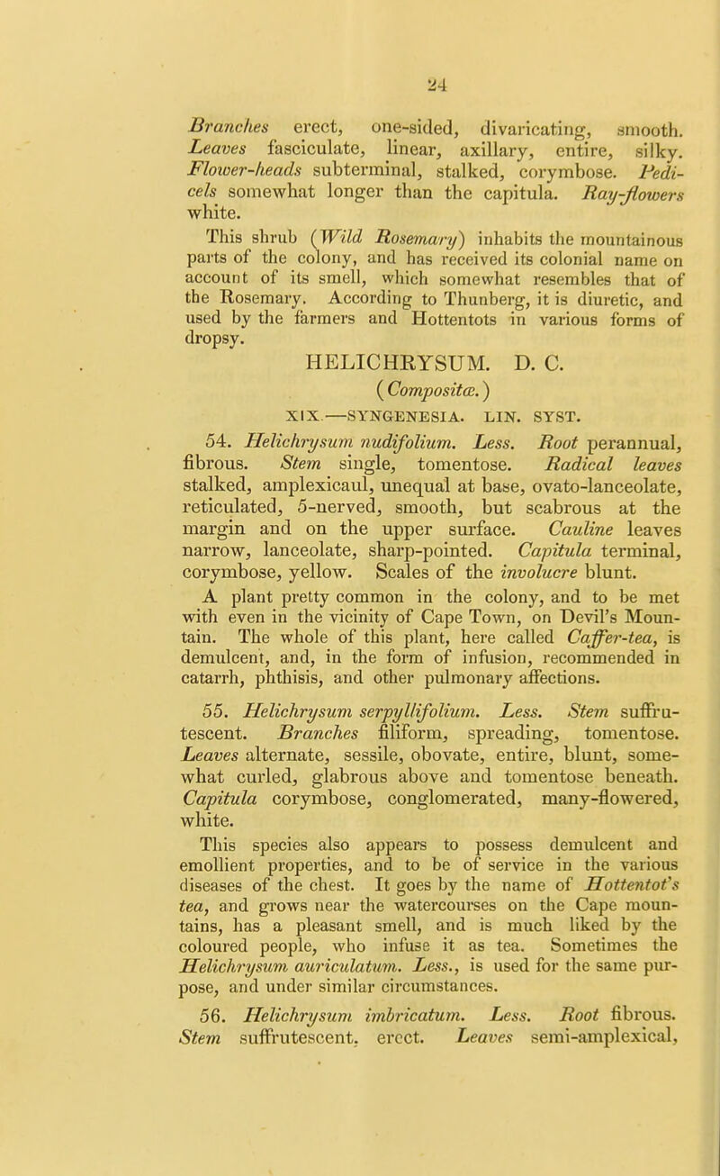 2-1 Brandies erect, one-sided, divaricating, smooth. Leaves fasciculate, linear, axillary, entire, silky. Flower-heads subterminal, stalked, corymbose. Pedi- cels somewhat longer than the capitula. Ray-flowers white. This shrub (Wild Rosemary) inhabits the mountainous parts of the colony, and has received its colonial name on account of its smell, which somewhat resembles that of the Rosemary. According to Thunberg, it is diuretic, and used by the farmers and Hottentots in various forms of dropsy. HELICHRYSUM. D. C. ( Compositce.) XIX.—SYNGENESIA. LIN. SYST. 54. Helichrysum nudifolium. Less. Root perannual, fibrous. Stem single, tomentose. Radical leaves stalked, amplexicaul, unequal at base, ovato-lanceolate, reticulated, 5-nerved, smooth, but scabrous at the margin and on the upper surface. Cauline leaves narrow, lanceolate, sharp-pointed. Capitula terminal, corymbose, yellow. Scales of the involucre blunt. A plant pretty common in the colony, and to be met with even in the vicinity of Cape Town, on Devil's Moun- tain. The whole of this plant, here called Caffer-tea, is demulcent, and, in the form of infusion, recommended in catarrh, phthisis, and other pulmonary affections. 55. Helichrysum serpyllifolium. Less. Stem suffru- tescent. Branches filiform, spreading, tomentose. Leaves alternate, sessile, obovate, entire, blunt, some- what curled, glabrous above and tomentose beneath. Capitula corymbose, conglomerated, many-flowered, white. This species also appears to possess demulcent and emollient properties, and to be of service in the various diseases of the chest. It goes by the name of Hottentot's tea, and grows near the watercourses on the Cape moun- tains, has a pleasant smell, and is much liked by the coloured people, who infuse it as tea. Sometimes the Helichrysum auriculatum. Less., is used for the same pur- pose, and under similar circumstances. 56. Helichrysum imbricatum. Less. Root fibrous. Stem suffrutescent. erect. Leaves semi-amplexical.