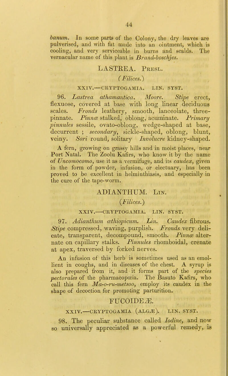 banum. In some parts of the Colony, the dry leaves are pulverised, and with fat made into an ointment, which is cooling, and very serviceable in burns and scalds. The vernacular name of this plant is Drand-boschjes. LASTREA. Presl. (Filices.) XXIV.—CRYPTOGAMIA. LIN. SYST. 96. Lastrea athamantica. Moore. Stipe erect, flexuose, covered at base with long linear deciduous scales. Fronds leathery, smooth, lanceolate, three- pinnate. Pinnae stalked, oblong, acuminate. Primary pinnules sessile, ovato-oblong, wedge-shaped at base, decurrent ; secondary, sickle-shaped, oblong, blunt, veiny. Sori round, solitary Involucre kidney-shaped. A fern, growing on grassy hills and in moist places, near Port Natal. The Zoolu Kafirs, who know it by the name of Uncomocomo, use it as a vermifuge, and its caudex, given in the form of powder, infusion, or electuary, has been proved to be excellent in helminthiasis, and especially in the cure of the tape-worm. ADIANTHUM. Lin. [Filices.} XXIV.—CRYPTOGAMIA. LIN. SYST. 97. Adianthum cethiopicum. Lin. Caudex fibrous. Stipe compressed, waving, purplish. Fronds very deli- cate, transparent, decompound, smooth. Pinnce alter- nate on capillary stalks. Pinnules rhomboidal, crenate at apex, traversed by forked nerves. An infusion of this herb is sometimes used as an emol- lient in coughs, and in diseases of the chest. A syrup is also prepared from it, and it forms part of the species pectorales of the pharmacopoeia. The Basuto Kafirs, who call this fern Ma-o-ru-metsoo, employ its caudex in the shape of decoction for promoting parturition. FUCOIDE^E. XXIV.—CRYPTOGAMIA (ALGiE). LIN. SYST. 98. The peculiar substance called Iodine, and now so universally appreciated as a powerful remedy, is