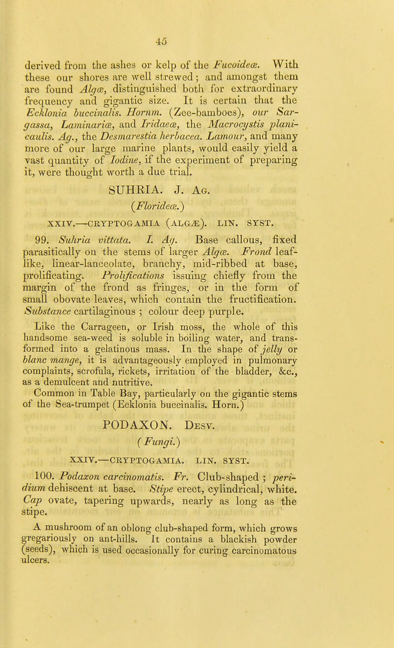 derived from the ashed or kelp of the Fucoideas. With these our shores are well strewed; and amongst them are found Alga;, distinguished both for extraordinary frequency and gigantic size. It is certain that the Ecklonia buccinalis. JSornm, (Zce-bamboes), our Sar- gasso,, Laminarice, and Iridaeos, the Macrocystis plani- caulis. Ag., the Desmarestia herbacea. Lamour, and many more of our large marine plants, would easily yield a vast quantity of Iodine, if the experiment of preparing it, were thought worth a due trial. SUHRIA. J. Ag. (Floridece.) XXIV.—CRYPTOGAMIA (ALGiE). LIN. SYST. 99. Suhria vittata. I. Ag. Base callous, fixed parasitically on the stems of larger Algce. Frond leaf- like, linear-lanceolate, branchy, mid-ribbed at base, prolificating. Prolifications issuing chiefly from the margin of the frond as fringes, or in the form of small obovate leaves, which contain the fructification. Substance cartilaginous ; colour deep purple. Like the Carrageen, or Irish moss, the whole of this handsome sea-weed is soluble in boiling water, and trans- formed into a gelatinous mass. In the shape of jelly or blanc mange, it is advantageously employed in pulmonary complaints, scrofula, rickets, irritation of the bladder, &c, as a demulcent and nutritive. Common in Table Bay, particularly on the gigantic stems of the Sea-trumpet (Ecklonia buccinalis. Horn.) PODAXON. Desv. (Fungi.) XXIV.—CRYPTOGAMIA. LIN. SYST. 100. Podaxon carcinomatis. Fr. Club-shaped ; peri- dium dehiscent at base. Stipe erect, cylindrical, white. Cap ovate, tapering upwards, nearly as long as the stipe. A mushroom of an oblong club-shaped form, which grows gregariously on ant-hills. It contains a blackish powder (seeds), which is used occasionally for curing carcinomatous ulcers.