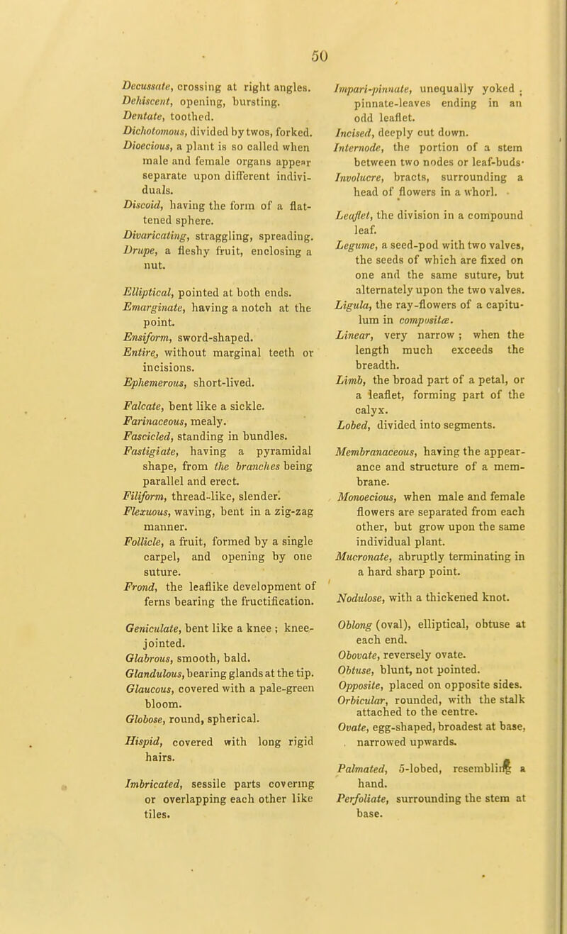 Decussate, crossing at right angles. Dehiscent, opening, bursting. Dentate, toothed. Dichotomous, divided by twos, forked. Dioecious, a plant is so called when male and female organs appear separate upon different indivi- duals. Discoid, having the form of a flat- tened sphere. Divaricating, straggling, spreading. Drupe, a fleshy fruit, enclosing a nut. Elliptical, pointed at both ends. Emarginate, having a notch at the point. Ensiform, sword-shaped. Entire, without marginal teeth or incisions. Ephemerous, short-lived. Falcate, bent like a sickle. Farinaceous, mealy. Fascicled, standing in bundles. Fastigiate, having a pyramidal shape, from the branches being parallel and erect. Filiform, thread-like, slenderl Flexuous, waving, bent in a zig-zag manner. Follicle, a fruit, formed by a single carpel, and opening by one suture. Frond, the leaflike development of ferns bearing the fructification. Geniculate, bent like a knee ; knee- jointed. Glabrous, smooth, bald. Glandulous, bearing glands at the tip. Glaucous, covered with a pale-green bloom. Globose, round, spherical. Hispid, covered with long rigid hairs. Imbricated, sessile parts covering or overlapping each other like tiles. Impari-pinuate, unequally yoked . pinnate-leaves ending in an odd leaflet. Incised, deeply cut down. Internode, the portion of a stem between two nodes or leaf-buds- Involucre, bracts, surrounding a head of flowers in a whorl. Leaflet, the division in a compound leaf. Legume, a seed-pod with two valves, the seeds of which are fixed on one and the same suture, but alternately upon the two valves. Ligula, the ray-flowers of a capitu- lum in composite. Linear, very narrow ; when the length much exceeds the breadth. Limb, the broad part of a petal, or a leaflet, forming part of the calyx. Lobed, divided into segments. Membranaceous, having the appear- ance and structure of a mem- brane. Monoecious, when male and female flowers are separated from each other, but grow upon the same individual plant. Mucronate, abruptly terminating in a hard sharp point. Nodulose, with a thickened knot. Oblong (oval), elliptical, obtuse at each end. Obovate, reversely ovate. Obtuse, blunt, not pointed. Opposite, placed on opposite sides. Orbicular, rounded, with the stalk attached to the centre. Ovate, egg-shaped, broadest at base. narrowed upwards. Palmated, 5-lobed, resembling a hand. Perfoliate, surrounding the stem at base.