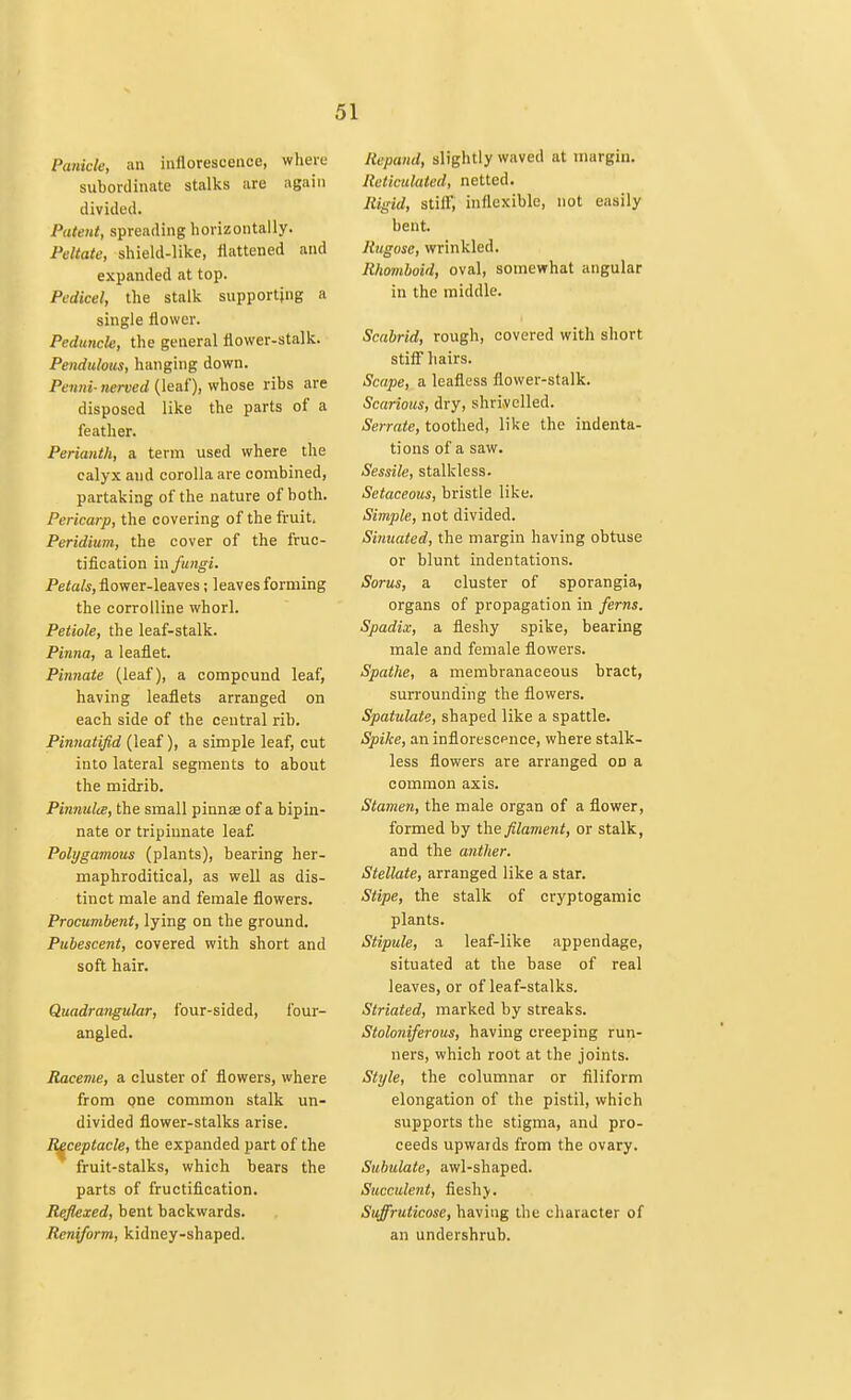 Panicle, an inflorescence, where subordinate stalks are again divided. Patent, spreading horizontally. Peltate, shield-like, flattened and expanded at top. Pedicel, the stalk supporting a single flower. Peduncle, the general flower-stalk. Pendulous, hanging down. Penni- nerved (leaf), whose ribs are disposed like the parts of a feather. Perianth, a term used where the calyx and corolla are combined, partaking of the nature of both. Pericarp, the covering of the fruit. Peridium, the cover of the fruc- tification in fungi. Petals, flower-leaves; leaves forming the corrolline whorl. Petiole, the leaf-stalk. Pinna, a leaflet. Pinnate (leaf), a compound leaf, having leaflets arranged on each side of the central rib. Pinnatifid (leaf), a simple leaf, cut into lateral segments to about the midrib. Pinnulce, the small pinnae of a bipin- nate or trip innate leaf. Polygamous (plants), bearing her- maphroditical, as well as dis- tinct male and female flowers. Procumbent, lying on the ground. Pubescent, covered with short and soft hair. Quadrangular, four-sided, four- angled. Raceme, a cluster of flowers, where from one common stalk un- divided flower-stalks arise. Receptacle, the expanded part of the fruit-stalks, which bears the parts of fructification. Reflexed, bent backwards. Reniform, kidney-shaped. Repand, slightly waved at margin. Reticulated, netted. Rigid, still, inflexible, not easily bent. Rugose, wrinkled. Rhomboid, oval, somewhat angular in the middle. Scabrid, rough, covered with short stiff hairs. Scape, a leafless flower-stalk. Scarious, dry, shrivelled. Serrate, toothed, like the indenta- tions of a saw. Sessile, stalkless. Setaceous, bristle like. Simple, not divided. Sinuated, the margin having obtuse or blunt indentations. Sorus, a cluster of sporangia, organs of propagation in ferns. Spadix, a fleshy spike, bearing male and female flowers. Spathe, a membranaceous bract, surrounding the flowers. Spatulate, shaped like a spattle. Spike, an inflorescpnee, where stalk- less flowers are arranged on a common axis. Stamen, the male organ of a flower, formed by the filament, or stalk, and the anther. Stellate, arranged like a star. Stipe, the stalk of cryptogamic plants. Stipule, a leaf-like appendage, situated at the base of real leaves, or of leaf-stalks. Striated, marked by streaks. Stoloniferous, having creeping run- ners, which root at the joints. Style, the columnar or filiform elongation of the pistil, which supports the stigma, and pro- ceeds upwards from the ovary. Subulate, awl-shaped. Succulent, fleshy. Suffrulicose, having the character of an undershrub.