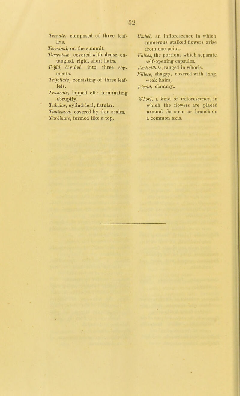 Termite, composed of three leaf- lets. Terminal, on the summit. Tomentose, covered with dense, en- tangled, rigid, short hairs. Trifid, divided into three seg- ments. Trifoliate, consisting of three leaf- lets. Truncate, lopped oft; terminating abruptly. Tubular, cylindrical, fistular. Tunicated, covered by thin scales. Turbinate, formed like a top. Umbel, an inflorescence in which numerous stalked flowers arise from one point. Valves, the portions which separate self-opening capsules. Verticillate, ranged in whorls. Villose, shaggy, covered with long, weak hairs, Viscid, clammy. Whorl, a kind of inflorescence, in which the flowers are placed around the stem or branch on a common axis.