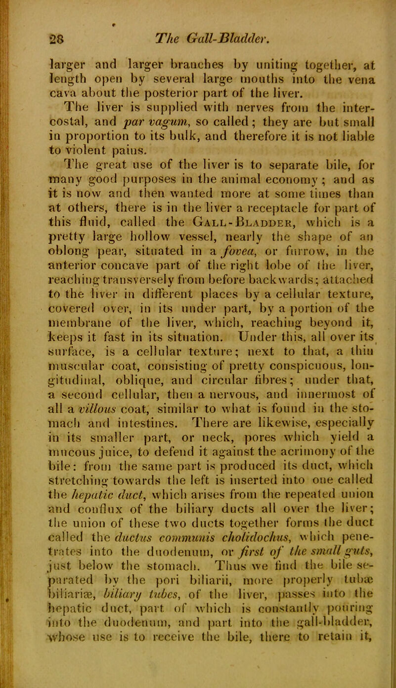 larger and larger branches by uniting together, at length open by several large mouths into the vena cava about the posterior part of the liver. The liver is supplied with nerves from the inter- costal, and par vagum, so called ; they are but small in proportion to its bulk, and therefore it is not liable to violent paius. The great use of the liver is to separate bile, for many good purposes in the animal economy ; and as it is now and then wanted more at some times than at others, there is in the liver a receptacle for part of this fluid, called the Gall-Bladder, which is a pretty large hollow vessel, nearly the shape of an oblong pear, situated in a fovea, or furrow, in the anterior concave part of the right lobe of the liver, reaching transversely from before backwards; attached to the liver in different places by a cellular texture, covered over, in its under part, by a portion of the membrane of the liver, which, reaching beyond it, keeps it fast in its situation. Under this, all over its surface, is a cellular texture; next to that, a thin muscular coat, consisting of pretty conspicuous, lon- gitudinal, oblique, and circular fibres; under that, a second cellular, then a nervous, and innermost of all a villous coat, similar to what is found in the sto- mach and intestines. There are likewise, especially in its smaller part, or neck, pores which yield a mucous juice, to defend it against the acrimony ol the bile: from the same part is produced its duct, which stretching towards the left is inserted into one called the hepatic duct, which arises from the repeated union and conflux of the biliary ducts all over the liver; the union of these two ducts together forms the duct called the ductus communis cholidochus, which pene- trates into the duodenum, or first of the small guts, just below the stomach. Thus we find the bile se- parated bv the pori biliarii, more properly tubas biliarise, biliary tubes, of the liver, passes into the hepatic duct, part of which is constantly pouring into the duodenum, and part into the gall-bladder, whose use is to receive the bile, there to retain it,