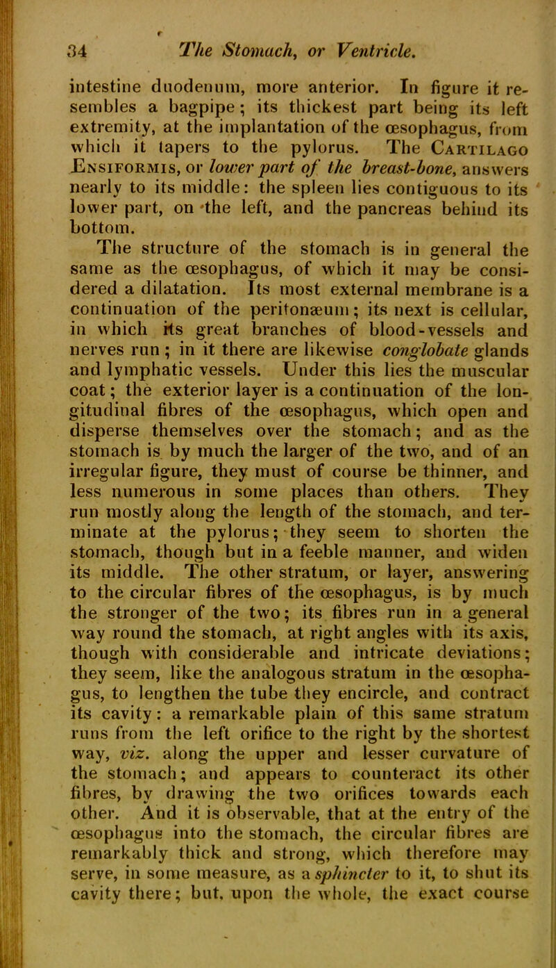 intestine duodenum, more anterior. In figure it re- sembles a bagpipe; its thickest part being its left extremity, at the implantation of the oesophagus, from which it tapers to the pylorus. The Cartilago JEnsiformis, or lower part of the breast-bone, answers nearly to its middle: the spleen lies contiguous to its lower part, on *the left, and the pancreas behind its bottom. The structure of the stomach is in general the same as the oesophagus, of which it may be consi- dered a dilatation. Its most external membrane is a continuation of the peritonaeum; its next is cellular, in which its great branches of blood-vessels and nerves run ; in it there are likewise conglobate glands and lymphatic vessels. Under this lies the muscular coat; the exterior layer is a continuation of the lon- gitudinal fibres of the oesophagus, which open and disperse themselves over the stomach; and as the stomach is by much the larger of the two, and of an irregular figure, they must of course be thinner, and less numerous in some places than others. They run mostly along the length of the stomach, and ter- minate at the pylorus; they seem to shorten the stomach, though but in a feeble manner, and widen its middle. The other stratum, or layer, answering to the circular fibres of the oesophagus, is by much the stronger of the two; its fibres run in a general way round the stomach, at right angles with its axis, though with considerable and intricate deviations; they seem, like the analogous stratum in the oesopha- gus, to lengthen the tube they encircle, and contract its cavity: a remarkable plain of this same stratum runs from the left orifice to the right by the shortest way, viz. along the upper and lesser curvature of the stomach; and appears to counteract its other fibres, by drawing the two orifices towards each other. And it is observable, that at the entry of the oesophagus into the stomach, the circular fibres are remarkably thick and strong, which therefore may serve, in some measure, as a sphincter to it, to shut its cavity there; but. upon the whole, the exact course