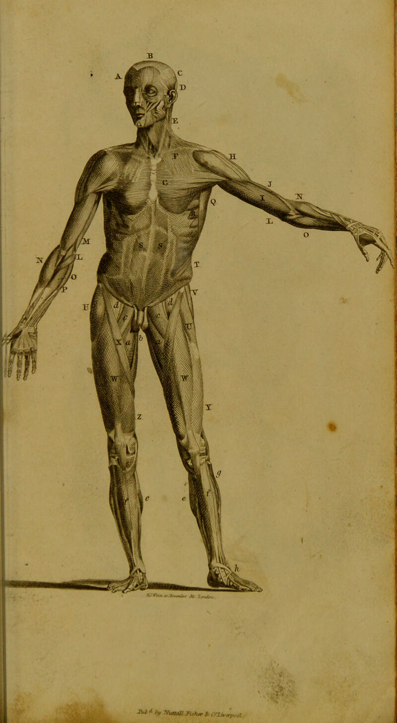 o Iul» hv KuttMl .fufur S O'lkyrprrt