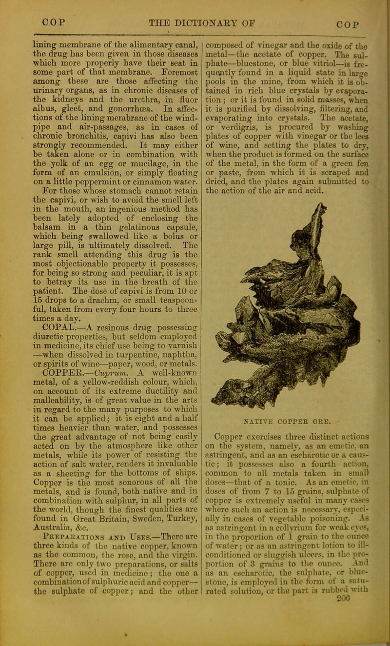 lining membrane of the alimentary canal, the drug has been given in those diseases which more properly have their seat in some part of that membrane. Foremost among these are those affecting the urinary organs, as in chronic diseases of the kidneys and the urethra, in lluor albus, gleet, and gonorrheea. In affec- tions of the lining membrane of the wind- pipe and air-passages, as in cases of chronic bronchitis, capivi has also been strongly recommended. It may either be taken alone or in combination with the yolk of an egg or mucilage, in the form of an emulsion, or simply floating on a little peppermint or cinnamon water. For those whose stomach cannot retain the capivi, or wish to avoid the smell left in the mouth, an ingenious method has been lately adopted of enclosing the balsam in a thin gelatinous capsule, which being swallowed like a bolus or large pill, is ultimately dissolved. The rank smell attending this drug is the most objectionable property it possesses, for being so strong and peculiar, it is apt to betray its use in the breath of the patient. The dose of capivi is from 10 or 16 drops to a drachm, or small teaspoon- ful, taken from every four hours to three times a day. COPAL.—A resinous drug possessing diuretic properties, but seldom employed in medicine, its chief use being to varnish —when dissolved in turpentine, naphtha, or spirits of wine—paper, wood, or metals. COPPER.—Cuprum. A well-known metal, of a yellow-reddish colour, which, on account of its extreme ductility and malleability, is of great value in the arts in regard to the many purposes to w'hich it can be applied; it is eight and a half times heavier than water, and possesses the great advantage of not being easily acted on by the atmosphere like other metals, while its power of resisting the action of salt water, renders it invaluable as a sheeting for the bottoms of ships. Copper is the most sonorous of all the metals, and is found, both native and in combination with sulphur, in all parts of the world, though the finest qualities are found in Great Britain, Sweden, Turkey, Australia, &c. Prepaeations and Uses.—There are three kinds of the native copper, known as the common, the rose, and the virgin. There are only two preparations, or salts of copper, used in meclicinc; the one a combination of sulphuric acid and copper— the sulphate of copper; and the other composed of vinegar and the oxide of the metal—the acetate of copper. The sul- phate—hluestone, or blue vitriol—is fre- quently found in a liquid state in large pools in the mine, from which it is ob- tained in rich blue crystals by evapora- tion ; or it is found in sohd masses, when it is purified by dissolving, filtering, and evaporating into crystals. The acetate, or verdigris, is procured by washing plates of copper with vinegar or the lees of wine, and setting the plates to dry, when the product is formed on the surface of the metal, in the form of a green fen or paste, from which it is scraped and dried, and the plates again submitted to the action of the air and acid. NATIVE COPPER ORE. Copper exercises three distinct actions on the system, namely, as an emetic, an astringent, and as an escharotic or a caus- tic; it possesses also a fourth action, common to all metals taken in small doses—that of a tonic. As an emetic, in doses of from 7 to 15 grains, sulphate of copper is extremely useful in many cases where such an action is necessary, especi- ally in cases of vegetable poisoning. As as astringent in a collyrium for weak eyes, in the proportion of 1 grain to the ounce of water; or as an astringent lotion to ill- conditioned or sluggish ulcers, in the pro- portion of 3 grains to the ounce. -And ns an escharotic, the sulphate, or blue- stone, is employed in the form of a satii- I'ated solution, or the jmrt is rubbed with