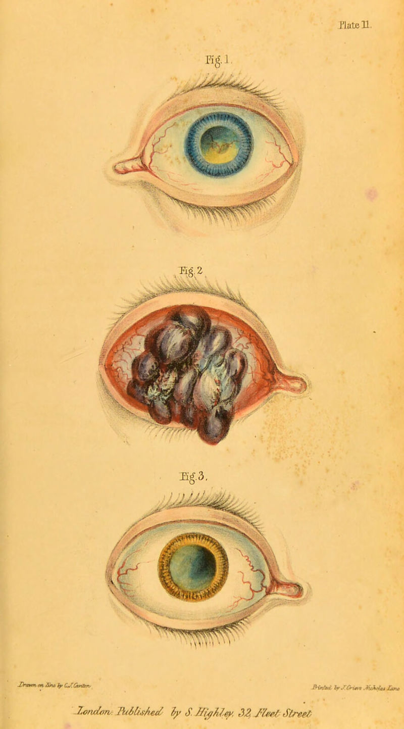 FI a toll. Eg. 2 lhnm.cn. ZivlyCSOmtm- JKntoi- Ir^Gn^t MMttlmt JiOndorv: IhhLished ty S. i/ivjAZey. 32 J'Yw/ Street