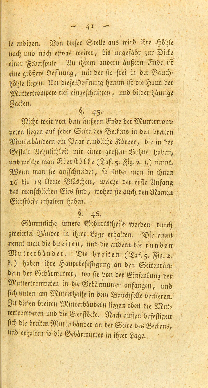 U enbigen. 58on biefer ©fette aus wirb i£re £orj(e nacr) unt) nacf) etwaö weiter, btö ungefäfjr jitr £)icfe einer geberfpufe. Tin ib_vem anbern aufjern (Snbe tjl eine größere Öeffnung, mit ber fie frei in ber Qjaucfys Ijobje liegen. Um tiefe Öeffnung (jerum ijl bie^anc ber 3ftu ttertrompete tief eingefcfynittcn; unb bilbet feurige garfYn. §♦ 45- Sßic&'t weit bon bem äußern (£nbe ber SJhitrerfrom«' peten liegen auf j'cber (Seite, beö 35ecf enö in ben breiten SPiutterbanbern ein ^aar iutnbUcfjc Äorper, bie in ber ©efktt ^ebnHc^f'eit mit einer .großen-©ofene .fcaben, unb welche man @ i cr ft 5 f f' e (Saf. 5, §ig. 2. i.) nennt. SÖSenn man .fie auffdjneibet, fo ffnbet man in i^nen 16 bis 18 Keine 35fa$c§en, wefcfje ber erjte Tinfang bes menfcfyicfjen ©e$ finb, wo^er ft'e auefy ben SRamen ©crflocfe erhalten fjaben, §. 4& ©ammtlicfje innere @)ebnrf$f&ei(e werben burcr) zweierlei SBanber in ifjrer 2age erraffen, ©ie einen nennt man bkbttitin, unb bie anbern bie runben SJtutterbanbcr. 3)te ■feretten ($af-5- $tg.2. f.) feaben ifjre £auptbefefligung- an ben ©eitenran* bem ber ©ebarmutfer, wo fic bon ber ©nfenfung ber Sftuttertrompefen in bie ©ebarmutter anfangen, unb fief) unten am 5D?utterfca(fe in bem 35auc(jfcUe berfteren. 3n biefen bxtiten 30iutterbanbern fiegen oben bie SOte tertrompeten unb bie ©erfttefe. dhd) außen befejtigen ftcfj bie breiten ätfurterbanber an ber ©eite beö^eefen^ «nb erhalten fo bte ©ebarmutter in tbrer £age.