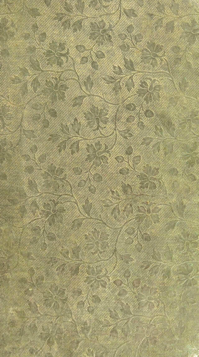 digitised image 1