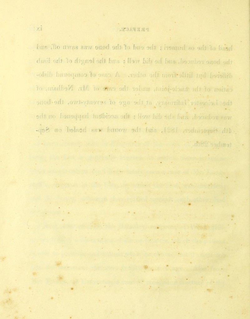 3 8ir// omn} orft-'i^i he