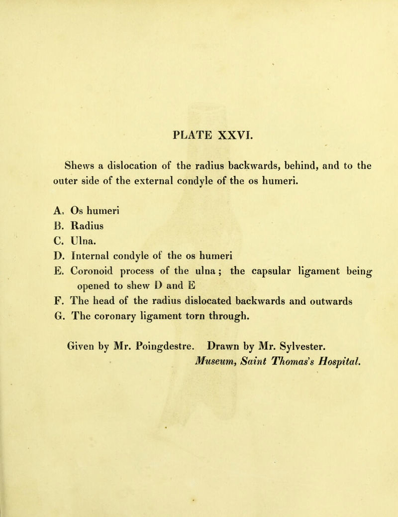 Shews a dislocation of the radius backwards, behind, and to the outer side of the external condyle of the os humeri. A. Os humeri B. Radius C. Ulna. D. Internal condyle of the os humeri E. Coronoid process of the ulna; the capsular ligament being opened to shew D and E F. The head of the radius dislocated backwards and outwards G. The coronary ligament torn through. Given by Mr. Poingdestre. Drawn by Mr. Sylvester. Museum, Saint Thomas's Hospital.