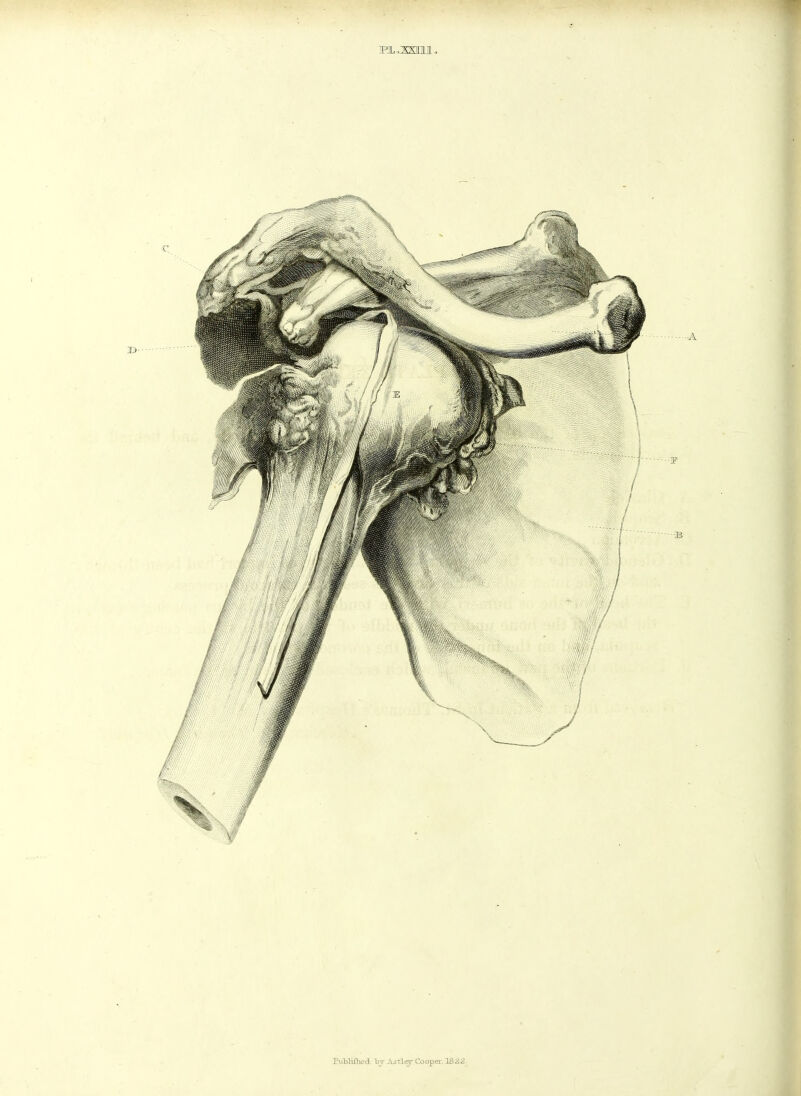 Putltfhed by A^tley-Cooper. 1822