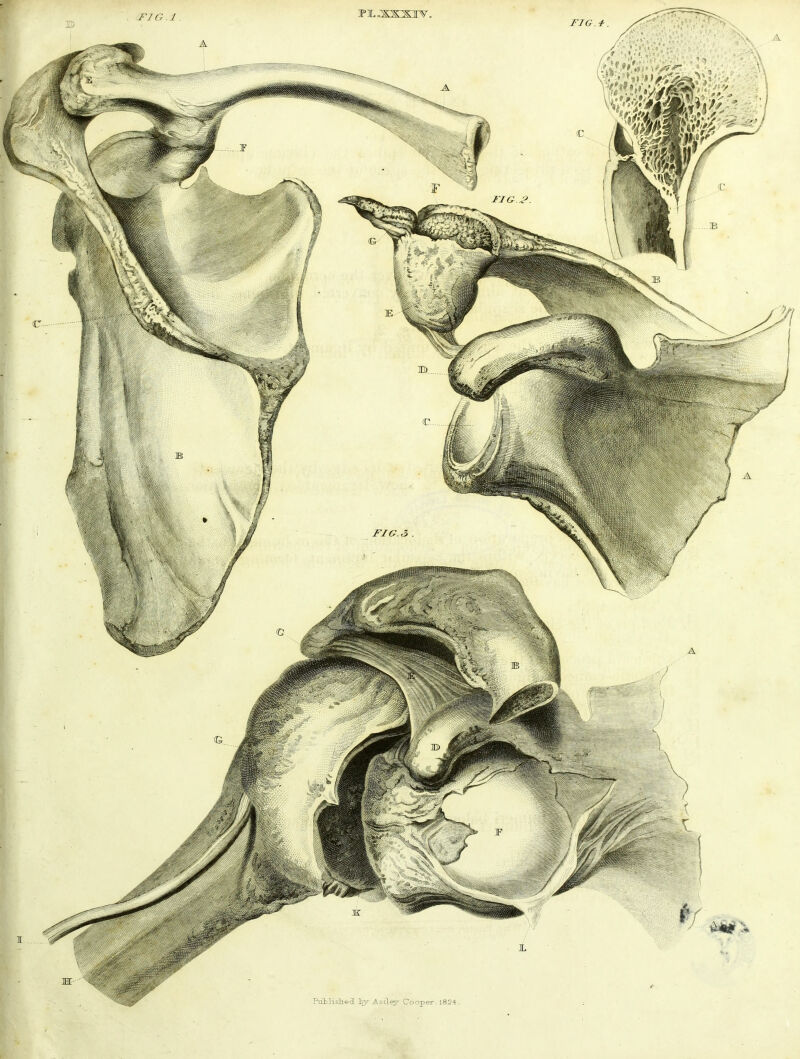 Pulilislied iry Asiley Cooper. 1824 .