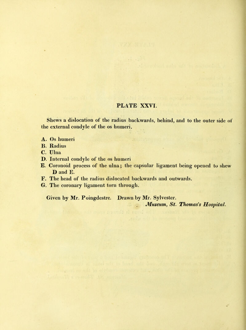 Shews a dislocation of the radius backwards, behind, and to the outer side of the external condyle of the os humeri. A. Os humeri B. Radius C. Ulna D. Internal condyle of the os humeri E. Coronoid process of the ulna; the capsular ligament being opened to shew D and E. F. The head of the radius dislocated backwards and outwards. G. The coronary ligament torn through. Given by Mr. Poingdestre. Drawn by Mr. Sylvester.