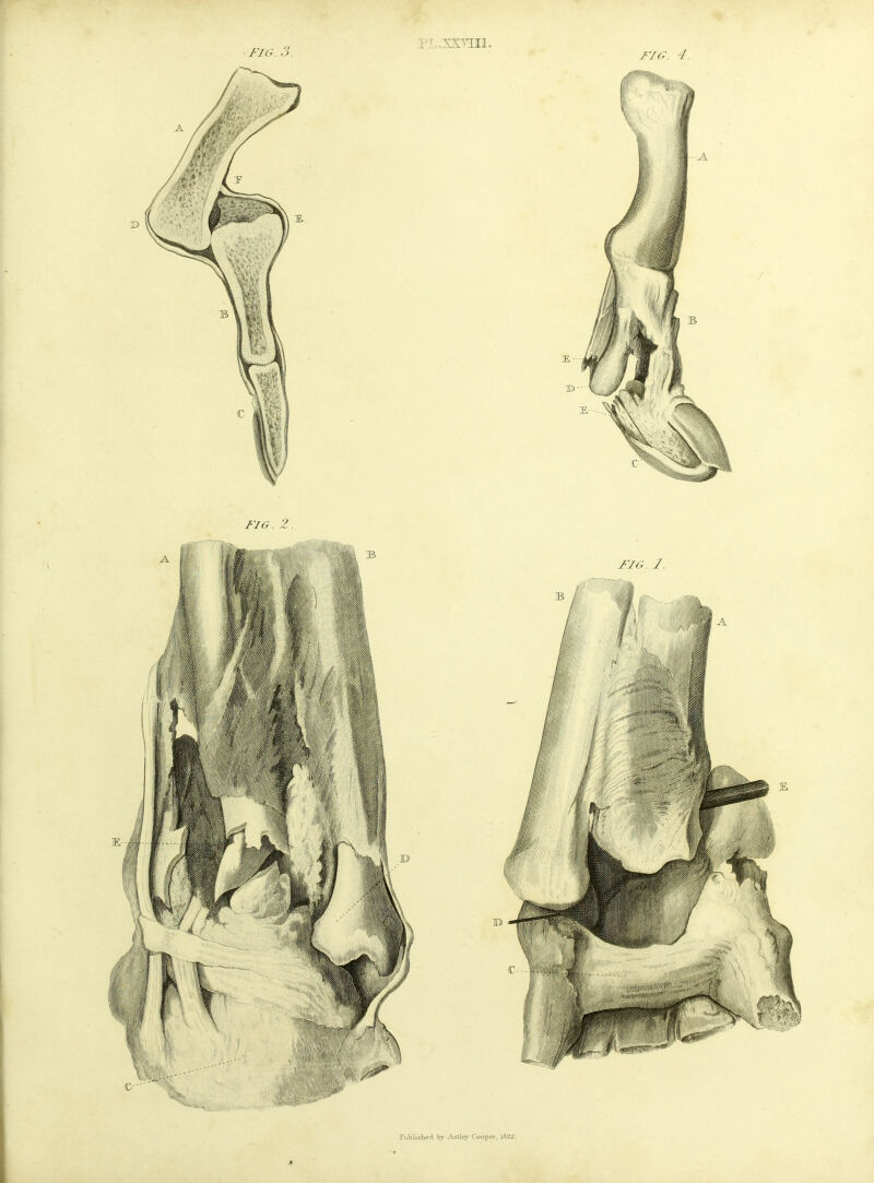 FIG. 3. FIG. 4