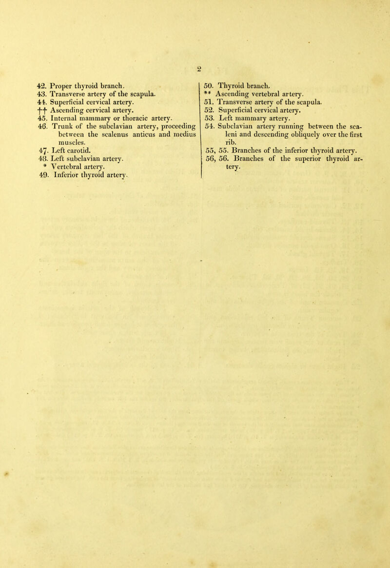 42. Proper thyroid branch. 43. Transverse artery of the scapula. 44. Superficial cervical artery. -ff- Ascending cervical artery. 45. Internal mammary or thoracic artery. 46. Trunk of the subclavian artery, proceeding between the scalenus anticus and medius muscles. 47- Left carotid. 48. Left subclavian artery. * Vertebral artery. 49. Inferior thyroid artery.. 50. Thyroid branch. ** Ascending vertebral artery. 51. Transverse artery of the scapula. 52. Superficial cervical artery, 53. Left mammary artery. 54. Subclavian artery running between the sca- leni and descending obliq^uely over the first rib. 55. 55. Branches of the inferior thyroid artery. 56. 56. Branches of the superior thyroid ar- tery.