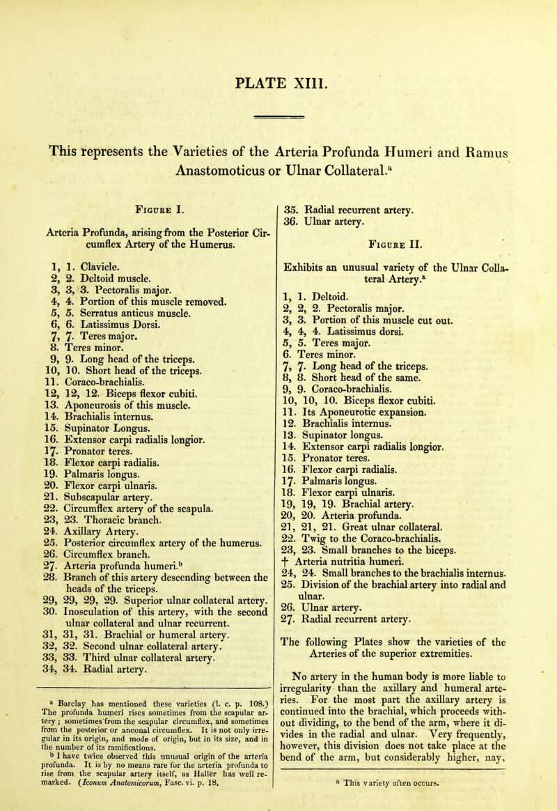 This represents the Varieties of the Arteria Profunda Humeri and Ramus Anastomoticus or Ulnar Collateral.^ Figure I. Arteria Profunda, arising from the Posterior Cir- cumflex Artery of the Humerus. 1, 1. Clavicle. 2, 2. Deltoid muscle. 3, 3, 3. Pectoralis major. 4, 4. Portion of this muscle removed. 5, 5. Serratus anticus muscle. 6, 6. Latissimus Dorsi. 7, 7- Teres major. 8, Teres minor. 9, 9. Long head of the triceps. 10. 10. Short head of the triceps. 11. Coraco-brachialis. 12. 12, 12. Biceps flexor cubiti. 13. Aponeurosis of this muscle. 14. Brachialis internus. 15. Supinator Longus. 16. Extensor carpi radialis longior. 17. Pronator teres. 18. Flexor carpi radialis. 19. Palmaris longus. 20. Flexor carpi ulnaris. 21. Subscapular artery. 22. Circumflex artery of the scapula. 23. 23. Thoracic branch. 24. Axillary Artery. 25. Posterior circumflex artery of the humerus. 26. Circumflex branch. 27. Arteria profunda humeri.'' 28. Branch of this artery descending between the heads of the triceps. 29. 29, 29, 29. Superior ulnar collateral artery. 30. Inosculation of this artery, with the second ulnar collateral and ulnar recurrent. 31. 31, 31. Brachial or humeral artery. 32. 32. Second ulnar collateral artery. 33. 33. Third ulnar collateral artery. 34. 34. Radial artery. * Barclay has mentioned these varieties (1. c. p. 108.) The profunda humeri rises sometimes from the scapular ar- tery ; sometimes'from the scapular circumflex, and sometimes from the posterior or anconal circumflex. It is not only irre- gular in its origin, and mode of origin, but in its size, and in the number of its ramifications. b I have twice observed this unusual origin of the arteria profunda. It is by no means rare for the arteria profunda to rise from the scapular artery itself, as Haller has well re- marked. i^Iconum Anatomicorum, Fasc. vi. p. 18. 35. Radial recurrent artery. 36. Ulnar artery. Figure II. Exhibits an unusual variety of the Ulnar Colla- teral Artery.* 1, 1. Deltoid. 2, 2, 2. Pectoralis major. 3, 3. Portion of this muscle cut out. 4, 4, 4. Latissimus dorsi. 5, 5. Teres major. - 6, Teres minor. 7, 7- Long head of the triceps. 8, 8. Short head of the same. 9, 9. Coraco-brachialis. 10, 10, 10. Biceps flexor cubiti. 11, Its Aponeurotic expansion. 12, Brachiahs internus. 13, Supinator longus. 14, Extensor carpi radialis longior. 15, Pronator teres. 16, Flexor carpi radialis. 17, Palmaris longus. 18, Flexor carpi ulnaris. 19, 19, 19. Brachial artery. 20, 20. Arteria profunda. 21, 21, 21. Great ulnar collateral. 22, Twig to the Coraco-brachialis. 23, 23. Small branches to the biceps, ■f Arteria nutritia humeri. 24, 24. Small branches to the brachialis internus. 25, Division of the brachial artery into radial and ulnar. 26, Ulnar artery. 27, Radial recurrent artery. The following Plates show the varieties of the Arteries of the superior extremities. No artery in the human body is more liable to irregularity than the axillary and humeral arte- ries. For the most part the axillary artery is continued into the brachial, which proceeds with- out dividing, to the bend of the arm, where it di- vides in the radial and ulnar. Very frequently, however, this division does not take place at the bend of the arm, but considerably higher, nay. ^ This variety often occurs.