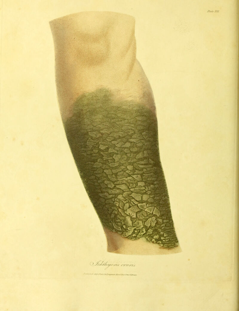 /'liMnlir^ .ri,/i'J^ms Ay£mnmail Mil-.,///rrrOrmr t/lrmni