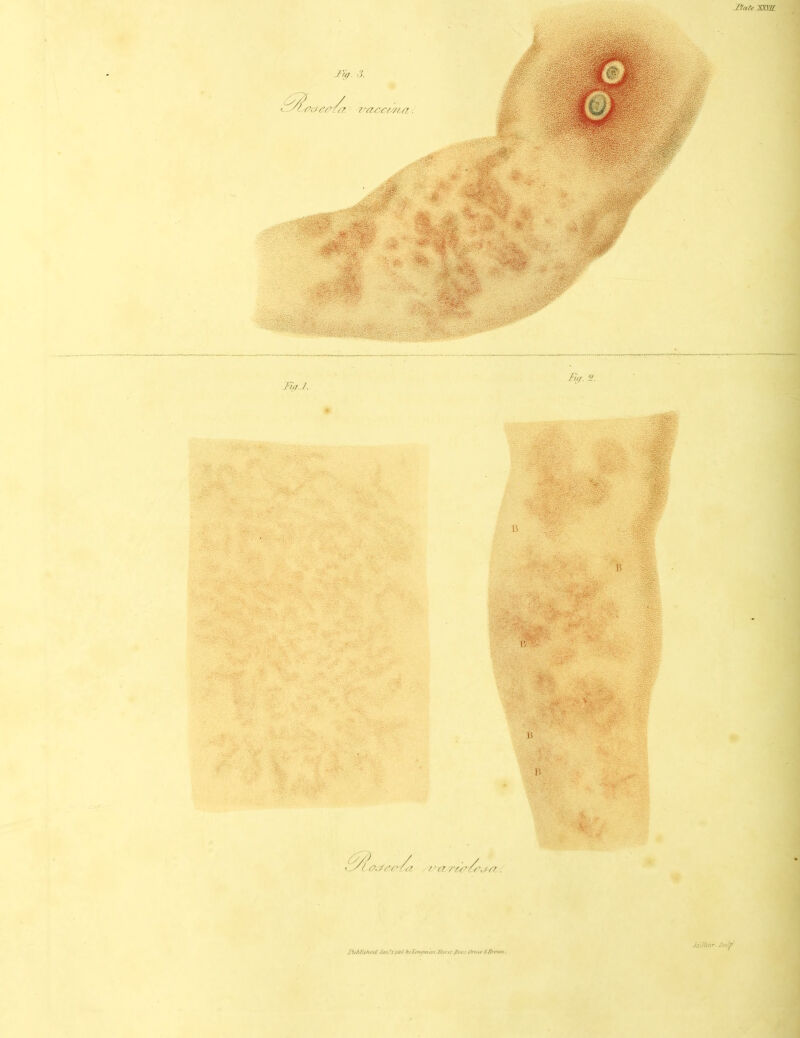 J'/tar SWll J^ihltshrci fmi^'l fiv/jvitriiitvi J/iirtl .Prr^r Or^nr .t/tii'tvn. jQtlUar.Jtvljf