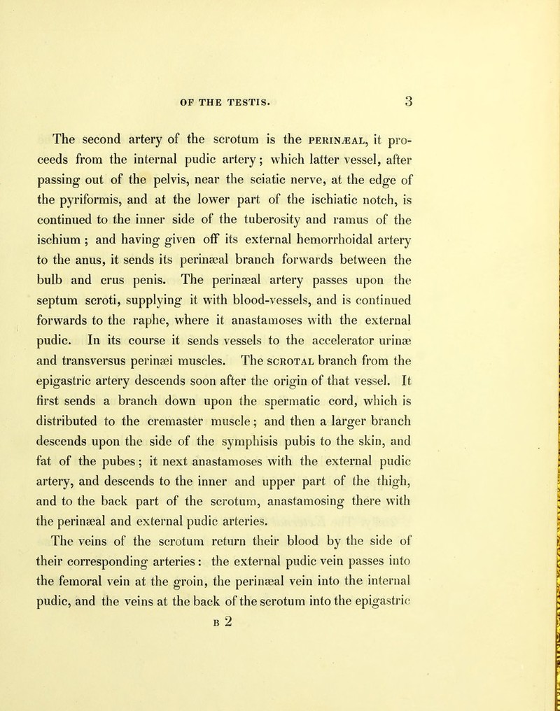 The second artery of the scrotum is the perineal, it pro- ceeds from the internal pudic artery; which latter vessel, after passing out of the pelvis, near the sciatic nerve, at the edge of the pyriformis, and at the lower part of the ischiatic notch, is continued to the inner side of the tuberosity and ramus of the ischium ; and having given off its external hemorrhoidal artery to the anus, it sends its perinseal branch forwards between the bulb and crus penis. The perinseal artery passes upon the septum scroti, supplying it with blood-vessels, and is continued forwards to the raphe, where it anastamoses with the external pudic. In its course it sends vessels to the accelerator urinse and transversus perineei muscles. The scrotal branch from the epigastric artery descends soon after the origin of that vessel. It first sends a branch down upon the spermatic cord, which is distributed to the cremaster muscle; and then a larger branch descends upon the side of the symphisis pubis to the skin, and fat of the pubes; it next anastamoses with the external pudic artery, and descends to the inner and upper part of the thigh, and to the back part of the scrotum, anastamosing there with the perinatal and external pudic arteries. The veins of the scrotum return their blood by the side of their corresponding arteries: the external pudic vein passes into the femoral vein at the groin, the perinseal vein into the internal pudic, and the veins at the back of the scrotum into the epigastric b 2