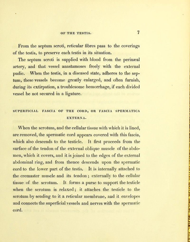From the septum scroti, reticular fibres pass to the coverings of the testis, to preserve each testis in its situation. The septum scroti is supplied with blood from the perinseal artery, and that vessel anastamoses freely with the external pudic. When the testis, in a diseased state, adheres to the sep- tum, these vessels become greatly enlarged, and often furnish, during its extirpation, a troublesome hemorrhage, if each divided vessel be not secured in a ligature. SUPERFICIAL FASCIA OF THE CORD, OR FASCIA SPERMATICA EXTERNA. When the scrotum, and the cellular tissue with which it is lined, are removed, the spermatic cord appears covered with this fascia, which also descends to the testicle. It first proceeds from the surface of the tendon of the external oblique muscle of the abdo- men, which it covers, and it is joined to the edges of the external abdominal ring, and from thence descends upon the spermatic cord to the lower part of the testis. It is internally attached to the cremaster muscle and its tendon ; externally to the cellular tissue of the scrotum. It forms a purse to support the testicle when the scrotum is relaxed; it attaches the testicle to the scrotum by sending to it a reticular membrane, and it envelopes and connects the superficial vessels and nerves with the spermatic cord.