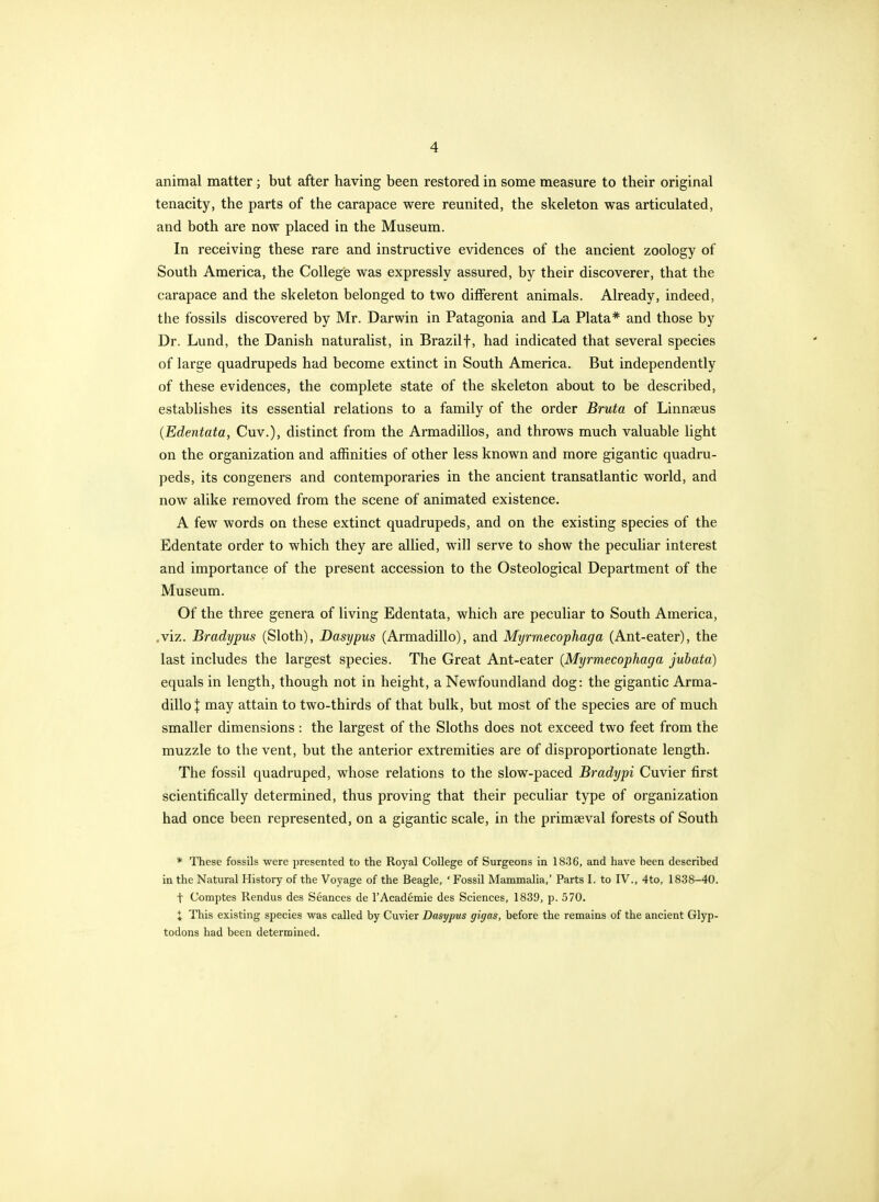 animal matter; but after having been restored in some measure to their original tenacity, the parts of the carapace were reunited, the skeleton was articulated, and both are now placed in the Museum. In receiving these rare and instructive evidences of the ancient zoology of South America, the College was expressly assured, by their discoverer, that the carapace and the skeleton belonged to two different animals. Already, indeed, the fossils discovered by Mr. Darwin in Patagonia and La Plata* and those by Dr. Lund, the Danish naturalist, in Brazilf, had indicated that several species of large quadrupeds had become extinct in South America. But independently of these evidences, the complete state of the skeleton about to be described, establishes its essential relations to a family of the order Bruta of Linneeus {Edentata, Cuv.), distinct from the Armadillos, and throws much valuable light on the organization and affinities of other less known and more gigantic quadru- peds, its congeners and contemporaries in the ancient transatlantic world, and now alike removed from the scene of animated existence. A few words on these extinct quadrupeds, and on the existing species of the Edentate order to which they are allied, will serve to show the peculiar interest and importance of the present accession to the Osteological Department of the Museum. Of the three genera of living Edentata, which are peculiar to South America, .viz. Bradypus (Sloth), Dasypus (Armadillo), and Myrmecophaga (Ant-eater), the last includes the largest species. The Great Ant-eater {Myrmecophaga juhata) equals in length, though not in height, a Newfoundland dog: the gigantic Arma- dillo J may attain to two-thirds of that bulk, but most of the species are of much smaller dimensions : the largest of the Sloths does not exceed two feet from the muzzle to the vent, but the anterior extremities are of disproportionate length. The fossil quadruped, whose relations to the slow-paced Bradypi Cuvier first scientifically determined, thus proving that their pecuhar type of organization had once been represented, on a gigantic scale, in the primaeval forests of South * These fossils were presented to the Royal College of Surgeons in 1836, and have been described in the Natural History of the Voyage of the Beagle, ' Fossil Mammalia,' Parts I. to IV., 4to, 1838-40. t Comptes Rendus des Seances de I'Academie des Sciences, 1839, p. 570. i This existing species was called by Cuvier Dasypus gigas, before the remains of the ancient Glyp- todons had been determined.