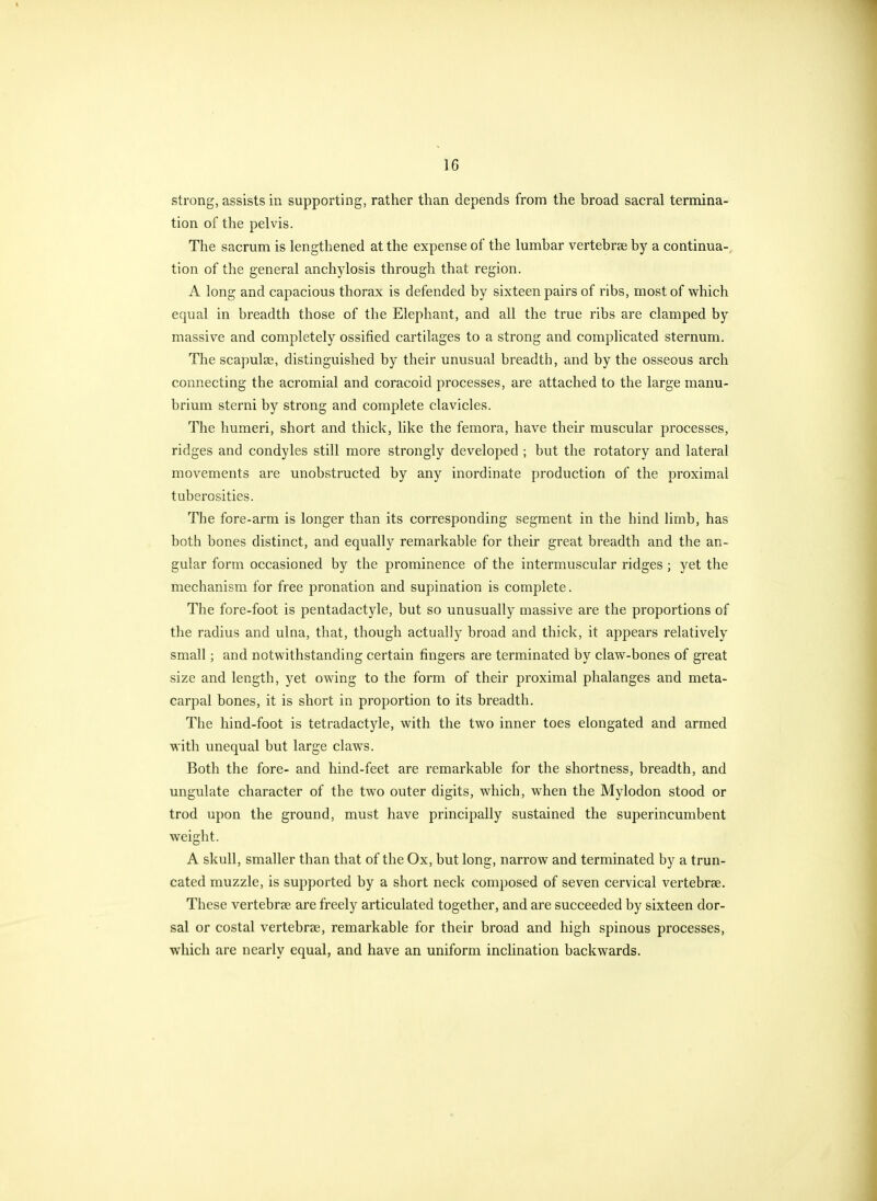 strong, assists in supporting, rather than depends from the broad sacral termina- tion of the pelvis. The sacrum is lengthened at the expense of the lumbar vertebrae by a continua- tion of the general anchylosis through that region. A long and capacious thorax is defended by sixteen pairs of ribs, most of w^hich equal in breadth those of the Elephant, and all the true ribs are clamped by massive and completely ossified cartilages to a strong and complicated sternum. The scapulse, distinguished by their unusual breadth, and by the osseous arch connecting the acromial and coracoid processes, are attached to the large manu- brium sterni by strong and complete clavicles. The humeri, short and thick, like the femora, have their muscular processes, ridges and condyles still more strongly developed ; but the rotatory and lateral movements are unobstructed by any inordinate production of the proximal tuberosities. The fore-arm is longer than its corresponding segment in the hind limb, has both bones distinct, and equally remarkable for their great breadth and the an- gular form occasioned by the prominence of the intermuscular ridges; yet the mechanism for free pronation and supination is complete. The fore-foot is pentadactyle, but so unusually massive are the proportions of the radius and ulna, that, though actually broad and thick, it appears relatively small; and notwithstanding certain fingers are terminated by claw-bones of great size and length, yet owing to the form of their proximal phalanges and meta- carpal bones, it is short in proportion to its breadth. The hind-foot is tetradactyle, with the two inner toes elongated and armed with unequal but large claws. Both the fore- and hind-feet are remarkable for the shortness, breadth, and ungulate character of the two outer digits, which, w^hen the Mylodon stood or trod upon the ground, must have principally sustained the superincumbent weight. A skull, smaller than that of the Ox, but long, narrow and terminated by a trun- cated muzzle, is supported by a short neck composed of seven cervical vertebrae. These vertebrae are freely articulated together, and are succeeded by sixteen dor- sal or costal vertebrae, remarkable for their broad and high spinous processes, which are nearly equal, and have an uniform inclination backwards.