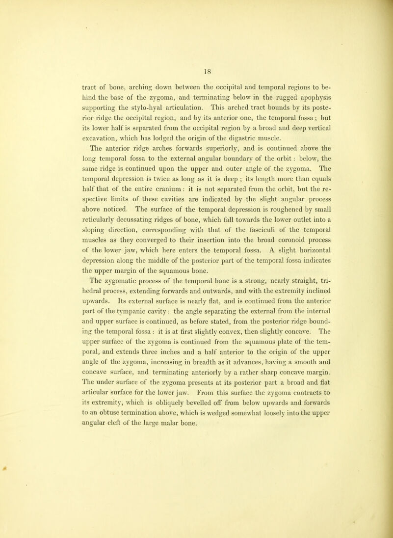 tract of bone, arching down between the occipital and temporal regions to be- hind the base of the zygoma, and terminating below in the rugged apophysis supporting the stylo-hyal articulation. This arched tract bounds by its poste- rior ridge the occipital region, and by its anterior one, the temporal fossa ; but its lower half is separated from the occipital region by a broad and deep vertical excavation, which has lodged the origin of the digastric muscle. The anterior ridge arches forwards superiorly, and is continued above the long temporal fossa to the external angular boundary of the orbit: below, the same ridge is continued upon the upper and outer angle of the zygoma. The temporal depression is twice as long as it is deep ; its length more than equals half that of the entire cranium: it is not separated from the orbit, but the re- spective limits of these cavities are indicated by the slight angular process above noticed. The surface of the temporal depression is roughened by small reticularly decussating ridges of bone, which fall towards the lower outlet into a sloping direction, corresponding with that of the fasciculi of the temporal muscles as they converged to their insertion into the broad coronoid process of the lower jaw, which here enters the temporal fossa. A slight horizontal depression along the middle of the posterior part of the temporal fossa indicates the upper margin of the squamous bone. The zygomatic process of the temporal bone is a strong, nearly straight, tri- hedral process, extending forwards and outwards, and with the extremity inclined upwards. Its external surface is nearly flat, and is continued from the anterior part of the tympanic cavity : the angle separating the external from the internal and upper surface is continued, as before stated, from the posterior ridge bound- ing the temporal fossa : it is at first slightly convex, then slightly concave. The upper surface of the zygoma is continued from the squamous plate of the tem- poral, and extends three inches and a half anterior to the origin of the upper angle of the zygoma, increasing in breadth as it advances, having a smooth and concave surface, and terminating anteriorly by a rather sharp concave margin. The under surface of the zygoma presents at its posterior part a broad and flat articular surface for the lower jaw. From this surface the zygoma contracts to its extremity, which is obliquely bevelled off from below upwards and forwards to an obtuse termination above, which is wedged somewhat loosely into the upper angular cleft of the large malar bone.