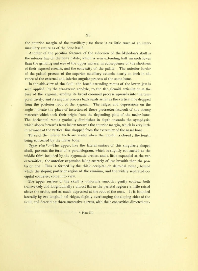 the anterior margin of the maxillary; for there is as little trace of an inter- maxillary suture as of the bone itself. Another of the peculiar features of the side-view of the Mylodon's skull is the inferior line of the bony palate, which is seen extending half an inch lower than the grinding surfaces of the upper molars, in consequence of the shortness of their exposed crowns, and the convexity of the palate. The anterior border of the palatal process of the superior maxillary extends nearly an inch in ad- vance of the external and inferior angular process of the same bone. In the side-view of the skull, the broad ascending ramus of the lower jaw is seen applied, by the transverse condyle, to the flat glenoid articulation at the base of the zygoma, sending its broad coronoid process upwards into the tem- poral cavity, and its angular process backwards as far as the vertical line dropped from the posterior root of the zygoma. The ridges and depressions on the angle indicate the place of insertion of those protractor fasciculi of the strong masseter which took their origin from the depending plate of the malar bone. The horizontal ramus gradually diminishes in depth towards the symphysis, which slopes forwards from below towards the anterior margin, which is very little in advance of the vertical line dropped from the extremity of the nasal bone. Three of the inferior teeth are visible when the mouth is closed ; the fourth being concealed by the malar bone. Upper view^.—The upper, like the lateral surface of this singularly-shaped skull, presents the form of a parallelogram, which is slightly contracted at the middle third included by the zygomatic arches, and a little expanded at the two extremities ; the anterior expansion being scarcely of less breadth than the pos- terior one. This is formed by the thick occipital or deltoidal ridge; behind which the sloping posterior region of the cranium, and the widely separated oc- cipital condyles, come into view. The upper surface of the skull is uniformly smooth; gently convex, both transversely and longitudinally ; almost flat in the parietal region ; a little raised above the orbits, and as much depressed at the root of the nose. It is bounded laterally by two longitudinal ridges, slightly overhanging the sloping sides of the skull, and describing three successive curves, with their concavities directed out-