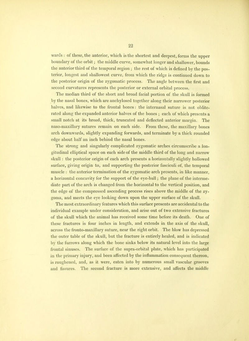 wards : of these, the anterior, which is the shortest and deepest, forms the upper boundary of the orbit; the middle curve, somewhat longer and shallower, bounds the anterior third of the temporal region ; the rest of which is defined by the pos- terior, longest and shallowest curve, from which the ridge is continued down to the posterior origin of the zygomatic process. The angle between the first and second curvatures represents the posterior or external orbital process. The median third of the short and broad facial portion of the skull is formed by the nasal bones, which are anchylosed together along their narrower posterior halves, and likewise to the frontal bones: the internasal suture is not oblite- rated along the expanded anterior halves of the bones ; each of which presents a small notch at its broad, thick, truncated and deflected anterior margin. The naso-maxillary sutures remain on each side. From these, the maxillary bones arch downwards, slightly expanding forwards, and terminate by a thick rounded edge about half an inch behind the nasal bones. The strong and singularly complicated zygomatic arches circumscribe a lon- gitudinal elliptical space on each side of the middle third of the long and narrow skull: the posterior origin of each arch presents a horizontally slightly hollowed surface, giving origin to, and supporting the posterior fasciculi of, the temporal muscle : the anterior termination of the zygomatic arch presents, in like manner, a horizontal concavity for the support of the eye-ball; the plane of the interme- diate part of the arch is changed from the horizontal to the vertical position, and the edge of the compressed ascending process rises above the middle of the zy- goma, and meets the eye looking down upon the upper surface of the skull. The most extraordinary features which this surface presents are accidental to the individual example under consideration, and arise out of two extensive fractures of the skull which the animal has received some time before its death. One of these fractures is four inches in length, and extends in the axis of the skull, across the fronto-maxillary suture, near the right orbit. The blow has depressed the outer table of the skull, but the fracture is entirely healed, and is indicated by the furrows along which the bone sinks below its natural level into the large frontal sinuses. The surface of the supra-orbital plate, which has participated in the primary injury, and been affected by the inflammation consequent thereon, is roughened, and, as it were, eaten into by numerous small vascular grooves and fissures. The second fracture is more extensive, and affects the middle