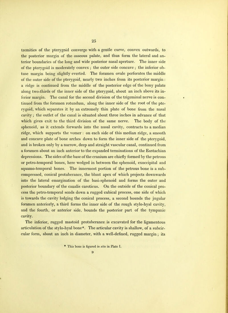 tremities of the pterygoid converge with a gentle curve, convex outwards, to the posterior margin of the osseous palate, and thus form the lateral and an- terior boundaries of the long and wide posterior nasal aperture. The inner side of the pterygoid is moderately convex ; the outer side concave ; the inferior ob- tuse margin being slightly everted. The foramen ovale perforates the middle of the outer side of the pterygoid, nearly two inches from its posterior margin : a ridge is continued from the middle of the posterior edge of the bony palate along two-thirds of the inner side of the pterygoid, about an inch above its in- ferior margin. The canal for the second division of the trigeminal nerve is con- tinued from the foramen rotundum, along the inner side of the root of the pte- rygoid, which separates it by an extremely thin plate of bone from the nasal cavity; the outlet of the canal is situated about three inches in advance of that which gives exit to the third division of the same nerve. The body of the sphenoid, as it extends forwards into the nasal cavity, contracts to a median ridge, which supports the vomer : on each side of this median ridge, a smooth and concave plate of bone arches down to form the inner side of the pterygoid, and is broken only by a narrow, deep and straight vascular canal, continued from a foramen about an inch anterior to the expanded terminations of the Eustachian depressions. The sides of the base of the cranium are chiefly formed by the petrous or petro-temporal bones, here wedged in between the sphenoid, exoccipital and squamo-temporal bones. The innermost portion of the petrous bone is a sub- compressed, conical protuberance, the blunt apex of which projects downwards into the lateral emargination of the basi-sphenoid and forms the outer and posterior boundary of the canalis caroticus. On the outside of the conical pro- cess the petro-temporal sends down a rugged cubical process, one side of which is towards the cavity lodging the conical process, a second bounds the jugular foramen anteriorly, a third forms the inner side of the rough stylo-hyal cavity, and the fourth, or anterior side, bounds the posterior part of the tympanic cavity. The inferior, rugged mastoid protuberance is excavated for the ligamentous articulation of the stylo-hyal bone*. The articular cavity is shallow, of a subcir- cular form, about an inch in diameter, with a well-defined, rugged margin; its * This bone is figured in situ in Plate I. D