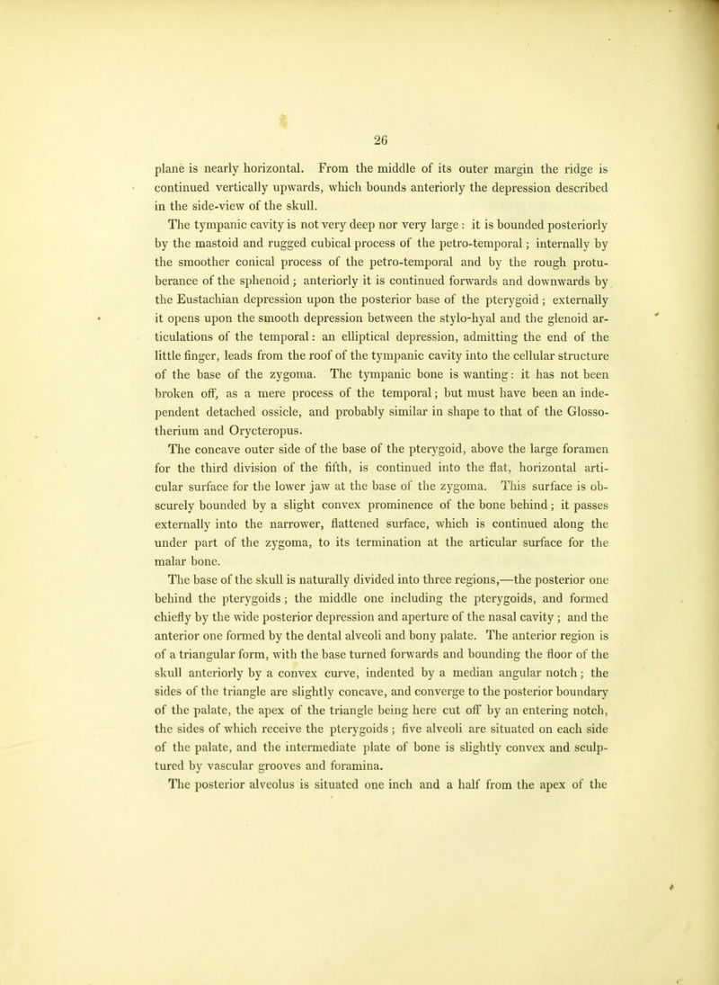 plane is nearly horizontal. From the middle of its outer margin the ridge is continued vertically upwards, which bounds anteriorly the depression described in the side-view of the skull. The tympanic cavity is not very deep nor very large : it is bounded posteriorly by the mastoid and rugged cubical process of the petro-temporal; internally by the smoother conical process of the petro-temporal and by the rough protu- berance of the sphenoid; anteriorly it is continued forwards and downwards by the Eustachian depression upon the posterior base of the pterygoid; externally it opens upon the smooth depression between the stylo-hyal and the glenoid ar- ticulations of the temporal: an elliptical depression, admitting the end of the little finger, leads from the roof of the tympanic cavity into the cellular structure of the base of the zygoma. The tympanic bone is wanting: it has not been broken off, as a mere process of the temporal; but must have been an inde- pendent detached ossicle, and probably similar in shape to that of the Glosso- therium and Orycteropus. The concave outer side of the base of the pterygoid, above the large foramen for the third division of the fifth, is continued into the flat, horizontal arti- cular surface for the lower jaw at the base of the zygoma. This surface is ob- scurely bounded by a slight convex prominence of the bone behind; it passes externally into the narrower, flattened surface, which is continued along the under part of the zygoma, to its termination at the articular surface for the malar bone. The base of the skull is naturally divided into three regions,—the posterior one behind the pterygoids; the middle one including the pterygoids, and formed chiefly by the wide posterior depression and aperture of the nasal cavity ; and the anterior one formed by the dental alveoli and bony palate. The anterior region is of a triangular form, with the base turned forwards and bounding the floor of the skull anteriorly by a convex curve, indented by a median angular notch; the sides of the triangle are slightly concave, and converge to the posterior boundary of the palate, the apex of the triangle being here cut off by an entering notch, the sides of which receive the pterygoids ; five alveoli are situated on each side of the palate, and the intermediate plate of bone is slightly convex and sculp- tured by vascular grooves and foramina. The posterior alveolus is situated one inch and a half from the apex of the