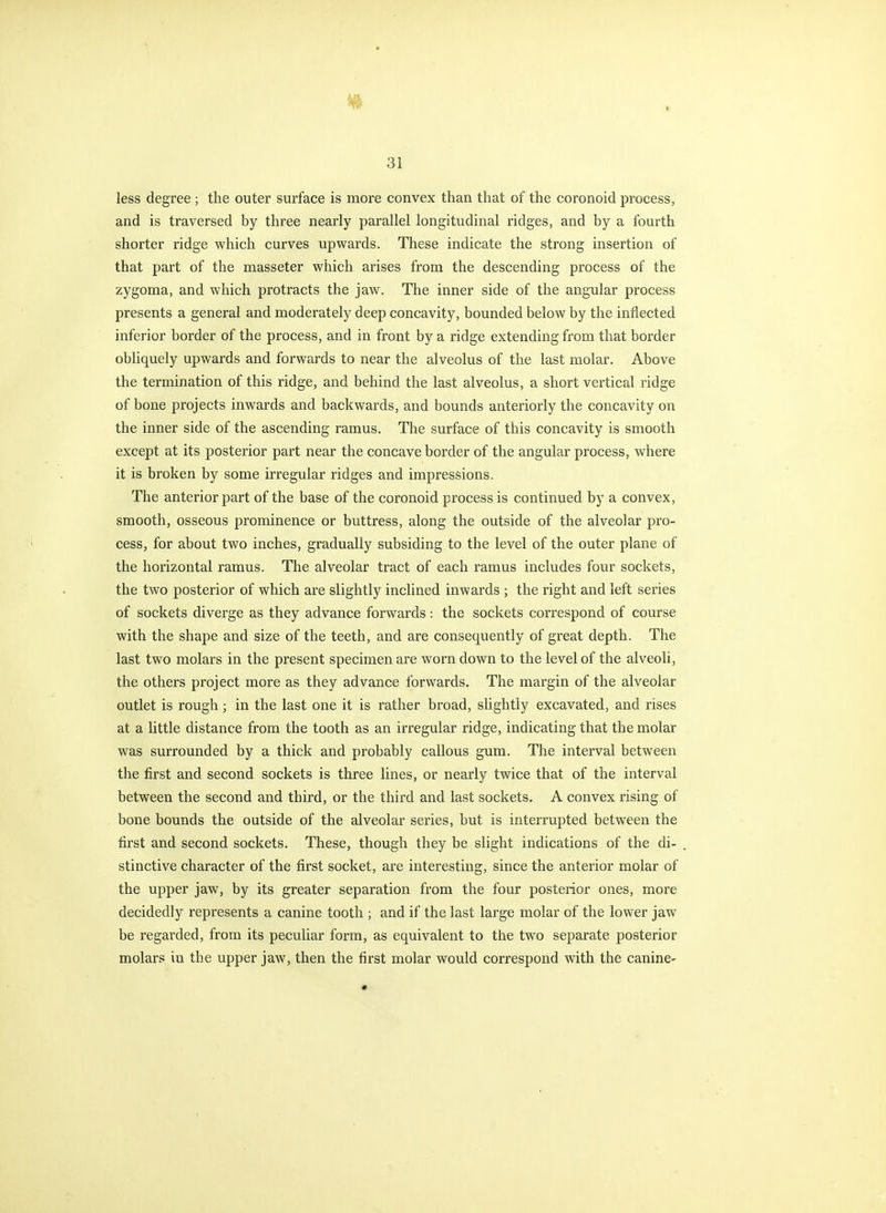 Hi 31 less degree ; the outer surface is more convex than that of the coronoid process, and is traversed by three nearly parallel longitudinal ridges, and by a fourth shorter ridge which curves upwards. These indicate the strong insertion of that part of the masseter which arises from the descending process of the zygoma, and which protracts the jaw. The inner side of the angular process presents a general and moderately deep concavity, bounded below by the inflected inferior border of the process, and in front by a ridge extending from that border obhquely upwards and forwards to near the alveolus of the last molar. Above the termination of this ridge, and behind the last alveolus, a short vertical ridge of bone projects inwards and backwards, and bounds anteriorly the concavity on the inner side of the ascending ramus. The surface of this concavity is smooth except at its posterior part near the concave border of the angular process, where it is broken by some irregular ridges and impressions. The anterior part of the base of the coronoid process is continued by a convex, smooth, osseous prominence or buttress, along the outside of the alveolar pro- cess, for about two inches, gradually subsiding to the level of the outer plane of the horizontal ramus. The alveolar tract of each ramus includes four sockets, the two posterior of which are slightly inclined inwards ; the right and left series of sockets diverge as they advance forwards: the sockets correspond of course with the shape and size of the teeth, and are consequently of great depth. The last two molars in the present specimen are worn down to the level of the alveoli, the others project more as they advance forwards. The margin of the alveolar outlet is rough; in the last one it is rather broad, slightly excavated, and rises at a little distance from the tooth as an irregular ridge, indicating that the molar was surrounded by a thick and probably callous gum. The interval between the first and second sockets is three lines, or nearly twice that of the interval between the second and third, or the third and last sockets. A convex rising of bone bounds the outside of the alveolar series, but is interrupted between the first and second sockets. These, though they be slight indications of the di- stinctive character of the first socket, are interesting, since the anterior molar of the upper jaw, by its greater separation from the four posterior ones, more decidedly represents a canine tooth ; and if the last large molar of the lower jaw be regarded, from its peculiar form, as equivalent to the two separate posterior molars in the upper jaw, then the first molar would correspond with the canine-