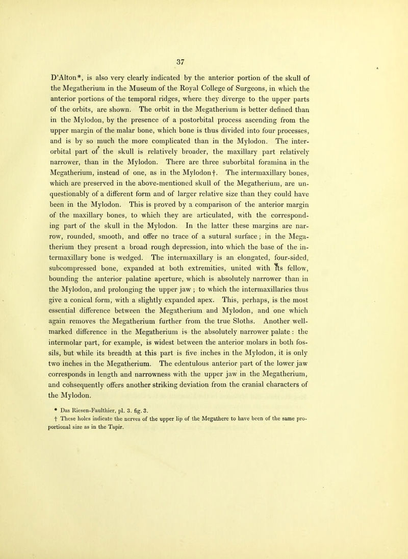 D'Alton*, is also very clearly indicated by the anterior portion of the skull of the Megatherium in the Museum of the Royal College of Surgeons, in which the anterior portions of the temporal ridges, where they diverge to the upper parts of the orbits, are shown. The orbit in the Megatherium is better defined than in the Mylodon, by the presence of a postorbital process ascending from the upper margin of the malar bone, which bone is thus divided into four processes, and is by so much the more compHcated than in the Mylodon. The inter- orbital part of the skull is relatively broader, the maxillary part relatively narrower, than in the Mylodon. There are three suborbital foramina in the Megatherium, instead of one, as in the Mylodonf. The intermaxillary bones, which are preserved in the above-mentioned skull of the Megatherium, are un- questionably of a different form and of larger relative size than they could have been in the Mylodon. This is proved by a comparison of the anterior margin of the maxillary bones, to which they are articulated, with the correspond- ing part of the skull in the Mylodon. In the latter these margins are nar- row, rounded, smooth, and offer no trace of a sutural surface; in the Mega- therium they present a broad rough depression, into which the base of the in- termaxillary bone is wedged. The intermaxillary is an elongated, four-sided, subcompressed bone, expanded at both extremities, united with Its fellow, bounding the anterior palatine aperture, which is absolutely narrower than in the Mylodon, and prolonging the upper jaw ; to which the intermaxillaries thus give a conical form, with a slightly expanded apex. This, perhaps, is the most essential difference between the Megatherium and Mylodon, and one which again removes the Megatherium further from the true Sloths. Another well- marked difference in the Megatherium is the absolutely narrower palate : the intermolar part, for example, is widest between the anterior molars in both fos- sils, but while its breadth at this part is five inches in the Mylodon, it is only two inches in the Megatherium. The edentulous anterior part of the lower jaw corresponds in length and narrowness with the upper jaw in the Megatherium, and cohsequently offers another striking deviation from the cranial characters of the Mylodon. • Das Riesen-Faulthier, pi. 3. fig. 3. t These holes indicate the nerves of the upper lip of the Megathere to have been of the same pro- portional size as in the Tapir.