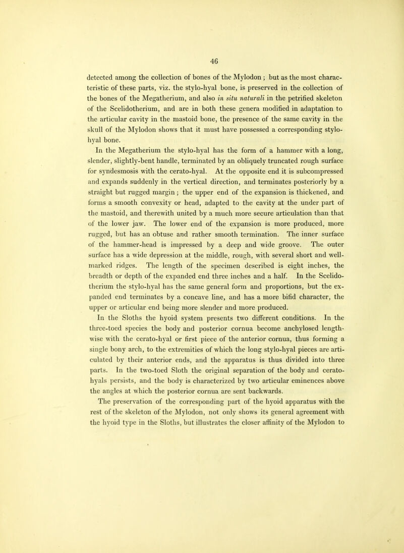 detected among the collection of bones of the Mylodon ; but as the most charac- teristic of these parts, viz. the stylo-hyal bone, is preserved in the collection of the bones of the Megatherium, and also in situ naturali in the petrified skeleton of the Scelidotherium, and are in both these genera modified in adaptation to the articular cavity in the mastoid bone, the presence of the same cavity in the skull of the Mylodon shows that it must have possessed a corresponding stylo- hyal bone. In the Megatherium the stylo-hyal has the form of a hammer with a long, slender, slightly-bent handle, terminated by an obliquely truncated rough surface for syndesmosis with the cerato-hyal. At the opposite end it is subcompressed and expands suddenly in the vertical direction, and terminates posteriorly by a straight but rugged margin; the upper end of the expansion is thickened, and forms a smooth convexity or head, adapted to the cavity at the under part of the mastoid, and therewith united by a much more secure articulation than that of the lower jaw. The lower end of the expansion is more produced, more rugged, but has an obtuse and rather smooth termination. The inner surface of the hammer-head is impressed by a deep and wide groove. The outer surface has a wide depression at the middle, rough, with several short and well- marked ridges. The length of the specimen described is eight inches, the breadth or depth of the expanded end three inches and a half. In the Scelido- therium the stylo-hyal has the same general form and proportions, but the ex- panded end terminates by a concave line, and has a more bifid character, the upper or articular end being more slender and more produced. In the Sloths the hyoid system presents two different conditions. In the three-toed species the body and posterior cornua become anchylosed length- wise with the cerato-hyal or first piece of the anterior cornua, thus forming a single bony arch, to the extremities of which the long stylo-hyal pieces are arti- culated by their anterior ends, and the apparatus is thus divided into three parts. In the two-toed Sloth the original separation of the body and cerato- hyals persists, and the body is characterized by two articular eminences above the angles at which the posterior cornua are sent backwards. The preservation of the corresponding part of the hyoid apparatus with the rest of the skeleton of the Mylodon, not only shows its general agreement with the hyoid type in the Sloths, but illustrates the closer affinity of the Mylodon to