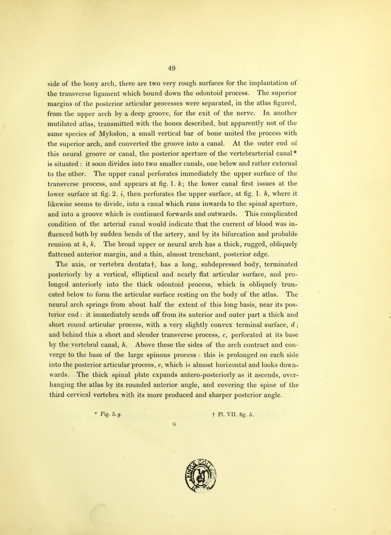 side of the bony arch, there are two very rough surfaces for the implantation of the transverse ligament which bound down the odontoid process. The superior margins of the posterior articular processes were separated, in the atlas figured, from the upper arch by a deep groove, for the exit of the nerve. In another mutilated atlas, transmitted with the bones described, but apparently not of the same species of Mylodon, a small vertical bar of bone united the process with the superior arch, and converted the groove into a canal. At the outer end of this neural groove or canal, the posterior aperture of the vertebrarterial canal* is situated : it soon divides into two smaller canals, one below and rather external to the other. The upper canal perforates immediately the upper surface of the transverse process, and appears at fig. 1. fe; the lower canal first issues at the lower surface at fig. 2. i, then perforates the upper surface, at fig. 1. h, where it likewise seems to divide, into a canal which runs inwards to the spinal aperture, and into a groove which is continued forwards and outwards. This complicated condition of the arterial canal would indicate that the current of blood was in- fluenced both by sudden bends of the artery, and by its bifurcation and probable reunion at h, k. The broad upper or neural arch has a thick, rugged, obliquely flattened anterior margin, and a thin, almost trenchant, posterior edge. The axis, or vertebra dentataf, has a long, subdepressed body, terminated posteriorly by a vertical, elliptical and nearly flat articular surface, and pro- longed anteriorly into the thick odontoid process, which is obliquely trun- cated below to form the articular surface resting on the body of the atlas. The neural arch springs from about half the extent of this long basis, near its pos- terior end: it immediately sends off from its anterior and outer part a thick and short round articular process, with a very slightly convex terminal surface, d; and behind this a short and slender transverse process, c, perforated at its base by the vertebral canal, h. Above these the sides of the arch contract and con- verge to the base of the large spinous process : this is prolonged on each side into the posterior articular process, e, which is almost horizontal and looks down- wards. The thick spinal plate expands antero-posteriorly as it ascends, over- hanging the atlas by its rounded anterior angle, and covering the spine of the third cervical vertebra with its more produced and sharper posterior angle. G