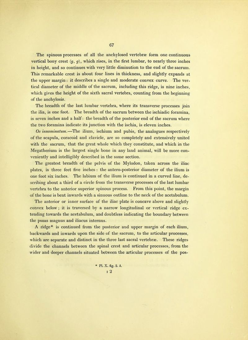 The spinous processes of all the anchylosed vertebrae form one continuous vertical bony crest (g, g), which rises, in the first lumbar, to nearly three inches in height, and so continues with very little diminution to the end of the sacrum. This remarkable crest is about four lines in thickness, and slightly expands at the upper margin : it describes a single and moderate convex curve. The ver- tical diameter of the middle of the sacrum, including this ridge, is nine inches, which gives the height of the sixth sacral vertebra, counting from the beginning of the anchylosis. The breadth of the last lumbar vertebra, where its transverse processes join the ilia, is one foot. The breadth of the sacrum between the ischiadic foramina, is seven inches and a half: the breadth of the posterior end of the sacrum where the two foramina indicate its junction with the ischia, is eleven inches. Os innominatum.—The ilium, ischium and pubis, the analogues respectively of the scapula, coracoid and clavicle, are so completely and extensively united with the sacrum, that the great whole which they constitute, and which in the Megatherium is the largest single bone in any land animal, will be more con- veniently and intelligibly described in the same section. The greatest breadth of the pelvis of the Mylodon, taken across the iliac plates, is three feet five inches : the antero-posterior diameter of the ilium is one foot six inches. The labium of the ilium is continued in a curved line, de- scribing about a third of a circle from the transverse processes of the last lumbar vertebra to the anterior superior spinous process. From this point, the margin of the bone is bent inwards with a sinuous outline to the neck of the acetabulum. The anterior or inner surface of the iliac plate is concave above and slightly convex below; it is traversed by a narrow longitudinal or vertical ridge ex- tending towards the acetabulum, and doubtless indicating the boundary between the psoas magnus and iliacus internus. A ridge* is continued from the posterior and upper margin of each ilium, backwards and inwards upon the side of the sacrum, to the articular processes, which are separate and distinct in the three last sacral vertebrae. These ridges divide the channels between the spinal crest and articular processes, from the wider and deeper channels situated between the articular processes of the pos- * PI. X. fig. 2. h.