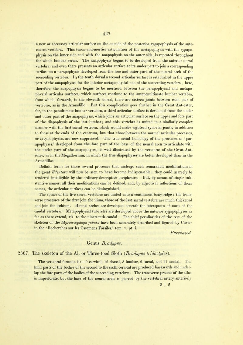 a new or accessory articular surface on the outside of the posterior zygapophysis of the ante- cedent vertebra. This tenon-and-mortice articulation of the metapophysis with the zygapo- physis on the inner side and with the anapophysis on the outer side, is repeated throughout the whole lumbar series. The anapophysis begins to be developed from the anterior dorsal vertebra, and even there presents an articular surface at its under part to join a corresponding surface on a parapophysis developed from the fore and outer part of the neural arch of the succeeding vertebra. In the tenth dorsal a second articular surface is established in the upper part of the anapophyses for the inferior metapophysial one of the succeeding vertebra; here, therefore, the anapophysis begins to be morticed between the parapophysial and metapo- physial articular surfaces, which surfaces continue to the antepenultimate lumbar vertebra, from which, forwards, to the eleventh dorsal, there are sixteen joints between each pair of vertebrae, as in the Armadillo. But this complication goes further in the Great Ant-eater, for, in the penultimate lumbar vertebra, a third articular surface is developed from the under and outer part of the anapophysis, which joins an articular surface on the upper and fore part of the diapophysis of the last lumbar; and this vertebra is united in a similarly complex manner with the first sacral vertebra, which wo\ild make eighteen synovial joints, in addition to those at the ends of the centrum, but that those between the normal articular processes, or zygapophyses, are now suppressed. The true serial homology of the processes as ' par- apophyses,' developed from the fore part of the base of the neural arcn to articulate with the under part of the anapophyses, is well illustrated by the vertebrae of the Great Ant- eater, as in the Megatherium, in which the true diapophyses are better developed than in the Armadillos. Definite terms for those several processes that undergo such remarkable modifications m the great Edentata will now be seen to have become indispensable; they could scarcely be rendered intelligible by the ordinary descriptive periphrases. But, by means of single sub- stantive names, all their modifications can be defined, and, by adjectival inflections of those names, the articular surfaces can be distinguished. The spines of the five sacral vertebrae are united into a continuous bony ridge; the trans- verse processes of the first join the ilium, those of the last sacral vertebra are much thickened and join the ischium. Hsemal arches are developed beneath the interspaces of most of the caudal vertebrae. Metapophysial tubercles are developed above the anterior zygapophyses as far as these extend, viz. to the nineteenth caudal. The chief peculiarities of the rest of the skeleton of the Myrmecophaga jubata have been accurately described and figured by Cuvier in the ' Recherches sur les Ossemens Fossiles,' torn. v. pt. i. Purchased. Genus Bradypus. 2367. The skeleton of the Ai, or Three-toed Sloth {Bradypus tridactylus). The vertebral formula is:—9 cervical, 16 dorsal, 3 lumbar, 6 sacral, and 11 caudal. The hind parts of the bodies of the second to the sixth cervical are produced backwards and under- lap the fore parts of the bodies of the succeeding vertebrae. The transverse process of the atlas is imperforate, but the base of the neural arch is pierced by the vertebral artery anteriorly 3 I 2