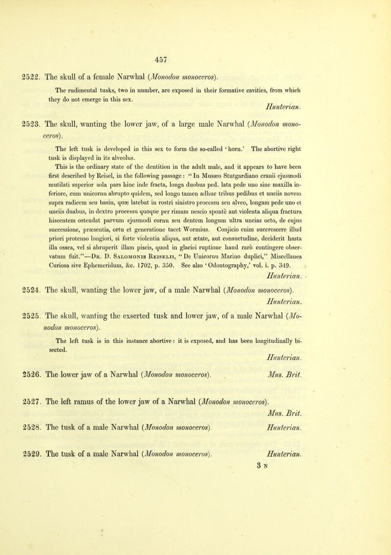 2523. The skull, wanting the lower jaw, of a large male Narwhal {Monodon mono- ceros). The left tusk is developed in this sex to form the so-called 'horn.' The abortiTC right tusk is displayed in its alveolus. This is the ordinary state of the dentition in the adult male, and it appears to have been first described by Reisel, in the following passage :  In Musseo Stutgardiano cranii ejusmodi mutilati superior sola pars hinc inde fracta, longa duobus ped. lata pede uno sine maxilla in- feriore, cum unicornu abrupto quidem, sed longo tamen adhuc tribus pedibus et unciis novem supra radicem seu basin, quse latebat in rostri sinistro processu seu alveo, longam pede uno et imciis duabus, in dextro processu quoque per rimam nescio sponte aut violenta aliqua fractura hiscentem ostendat parvum ejusmodi cornu seu dentem longum ultra uncias octo, de cujus successione, praesentia, ortu et generatione tacet Wormius. Conjicio enim succrescere illud priori protenso longiori, si forte violentia aliqua, aut setate, aut consuetudine, deciderit hasta ilia ossea, vel si abruperit illam piscis, quod in glaciei ruptione haud raro contingere obser- vatum fuit.—Dr. D. Salomonis Reiselii,  De Unicornu Marino dupUci, Miscellanea Curiosa sive Ephemeridum, &c. 1702, p. 350. See also 'Odontography,' vol. i. p. 349. Hunterian. • 2524. The skull, wanting the lower jaw, of a male Narwhal {Monodon monoceros). Hunterian. 2525. The skull, wanting the exserted tusk and lower jaw, of a male Narwhal {Mo- nodon monoceros). 2526. The lower jaw of a Narwhal {Monodon monoceros). Mus. Brit. 2527. The left ramus of the lower jaw of a Narwhal {Monodon monoceros). Mus. Brit. 2528. The tusk of a male Narwhal {Monodon monoceros) Hunterian. 2529. The tusk of a male Narwhal {Monodon monoceros) Hunterian. 3 N