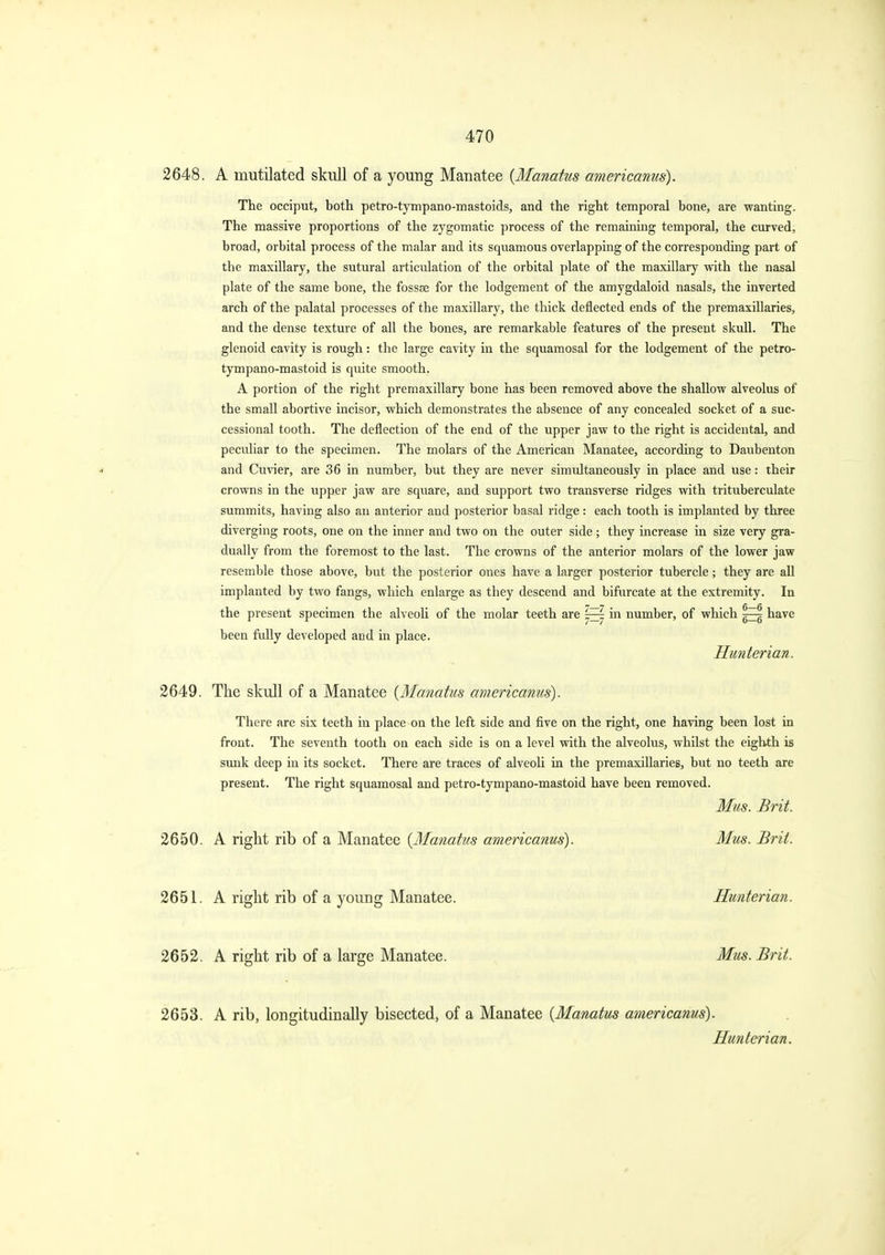 2648. A mutilated skull of a young Manatee {Manattis americanus). The occiput, both petro-tympano-mastoids, and the right temporal bone, are wanting. The massive proportions of the zygomatic process of the remaining temporal, the curved, broad, orbital process of the malar and its squamous overlapping of the corresponding part of the maxillary, the sutural articulation of the orbital plate of the maxillary with the nasal plate of the same bone, the fossse for the lodgement of the amygdaloid nasals, the inverted arch of the palatal processes of the maxillary, the thick deflected ends of the premaxillaries, and the dense texture of all the bones, are remarkable features of the present skull. The glenoid cavity is rough: the large ca\'ity in the squamosal for the lodgement of the petro- tympano-mastoid is quite smooth. A portion of the right premaxillary bone has been removed above the shallow alveolus of the small abortive incisor, which demonstrates the absence of any concealed socket of a suc- cessional tooth. The deflection of the end of the upper jaw to the right is accidental, and peculiar to the specimen. The molars of the American Manatee, according to Daubenton and Cuvier, are 36 in number, but they are never simultaneously in place and use: their crowns in the upper jaw are square, and support two transverse ridges with trituberculate summits, having also an anterior and posterior basal ridge: each tooth is implanted by three diverging roots, one on the inner and two on the outer side; they increase in size very gra- dually from the foremost to the last. The crowns of the anterior molars of the lower jaw resemble those above, but the posterior ones have a larger posterior tubercle; they are all implanted by two fangs, which enlarge as they descend and bifurcate at the extremity. In the present specimen the alveoh of the molar teeth are ^ in number, of which have been fully developed and in place. Hunterian. 2649. The skull of a Manatee {Manatus americanus). There are six teeth in place on the left side and five on the right, one having been lost in front. The seventh tooth on each side is on a level with the alveolus, whilst the eighth is siuik deep in its socket. There are traces of alveoli in the premaxillaries, but no teeth are present. The right squamosal and petro-tympano-mastoid have been removed. Mus. Brit. 2650. A right rib of a Manatee {Manatus americanus). Mus. Brit. 2651. A right rib of a young Manatee. Hunterian. 2652. A right rib of a large Manatee. Mus. Brit. 2653. A rib, longitudinally bisected, of a Manatee {Manatus americanus).