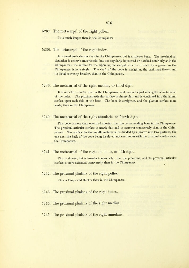 5237. The metacarpal of the right pollex. It is much longer than in the Chimpanzee. 5238. The metacarpal of the right index. It is one-fourth shorter than in the Chimpanzee, but is a thicker bone. The proximal ar- ticulation is concave transversely, but not angularly impressed or notched anteriorly as in the Chimpanzee: the surface for the adjoining metacarpal, which is divided by a groove in the Chimpanzee, is here single. The shaft of the bone is straighter, the back part flatter, and its distal convexity broader, than in the Chimpanzee. 5239. The metacarpal of the right medius, or third digit. It is one-third shorter than in the Chimpanzee, and does not equal in length the metacarpal of the index. The proximal articular surface is almost flat, and is continued into the lateral surface upon each side of the base. The bone is straighter, and the plantar surface more acute, than in the Chimpanzee. 5240. The metacarpal of the right annularis, or fom^th digit. This bone is more than one-third shorter than the corresponding bone in the Chimpanzee. The proximal articular surface is nearly flat, and is narrower transversely than in the Chim- panzee. The surface for the middle metacarpal is divided by a groove into two portions, the one next the back of the bone being insulated, not continuous with the proximal surface as in the Chimpanzee. 5241. The metacarpal of the right minimus, or fifth digit. This is shorter, but is broader transversely, than the preceding, and its proximal articular surface is more extended transversely than in the Chimpanzee. 5242. The proximal phalanx of the right pollex. This is longer and thicker than in the Chimpanzee. 5243. The proximal phalanx of the right index. 5244. The proximal phalanx of the right medius. 5245. The proximal phalanx of the right annularis.
