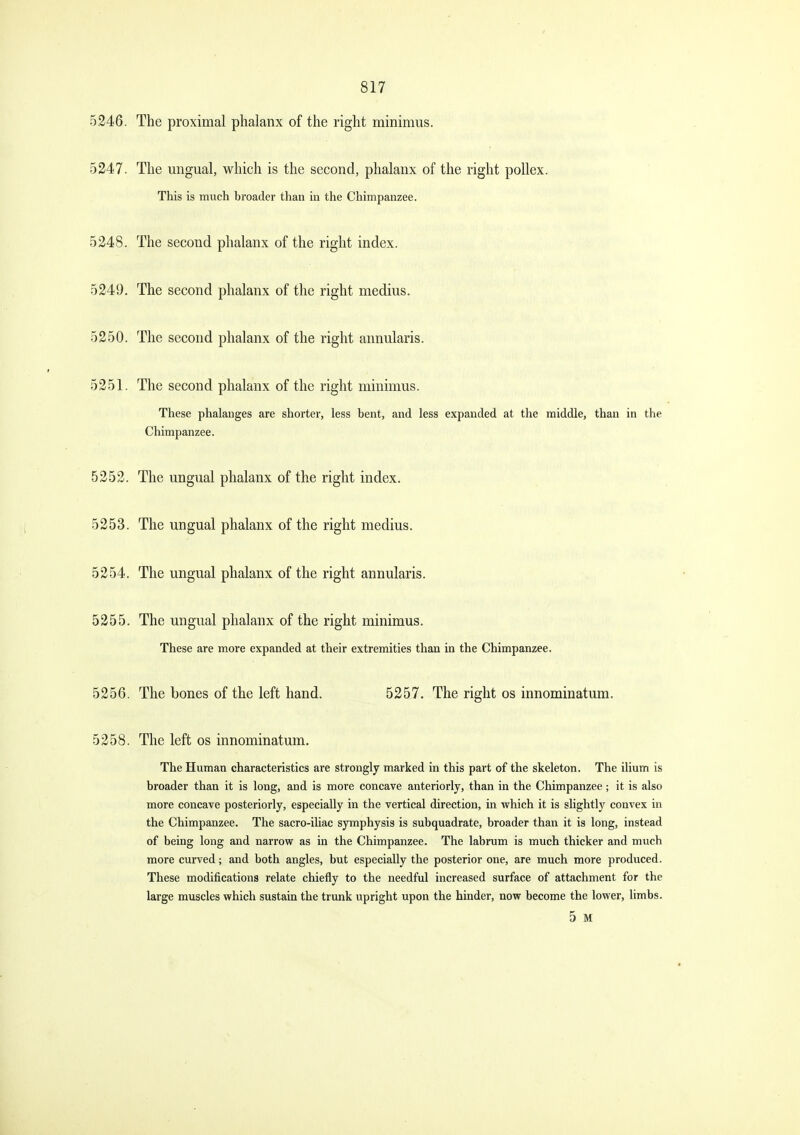 5246. The proximal phalanx of the right minimus. 5247. The ungual, which is the second, phalanx of the right poUex. This is much broader than in the Chimpanzee. 5248. The second phalanx of the right index. 5249. The second phalanx of the right medius. 5250. The second phalanx of the right annularis. 5251. The second phalanx of the right minimus. These phalanges are shorter, less bent, and less expanded at the middle, than in the Chimpanzee. 5252. The ungual phalanx of the right index. 5253. The ungual phalanx of the right medius. 5254. The ungual phalanx of the right annularis. 5255. The ungual phalanx of the right minimus. 5258. The left os innominatum. The Human characteristics are strongly marked in this part of the skeleton. The ilium is broader than it is long, and is more concave anteriorly, than in the Chimpanzee; it is also more concave posteriorly, especially in the vertical direction, in which it is slightly convex in the Chimpanzee. The sacro-iliac symphysis is subquadrate, broader than it is long, instead of being long and narrow as in the Chimpanzee. The labrum is much thicker and much more curved; and both angles, but especially the posterior one, are much more produced. These modifications relate chiefly to the needful increased surface of attachment for the large muscles which sustain the trunk upright upon the hinder, now become the lower, limbs. These are more expanded at their extremities than in the Chimpanzee. 5256 The bones of the left hand. 5257. The right os innominatum. 5 M