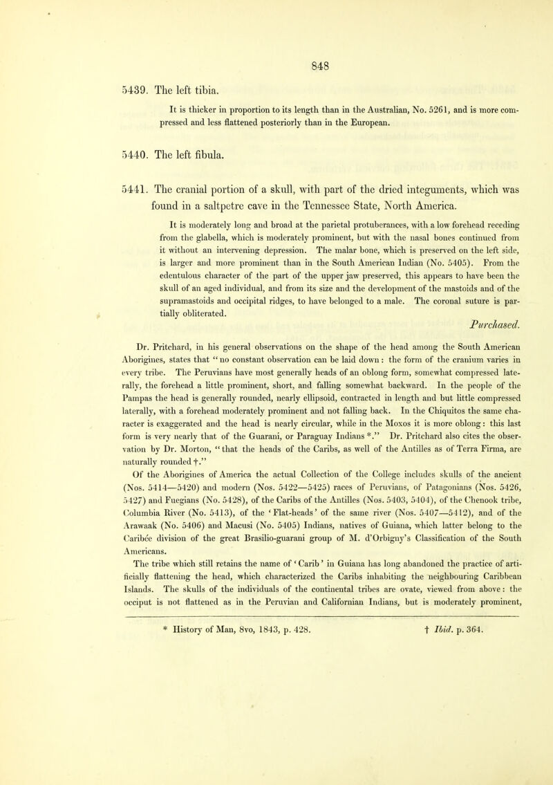 5439. The left tibia. It is thicker in proportion to its length than in the Australian, No. 5261, and is more com- pressed and less flattened posteriorly than in the European. 5440. The left fibula. 5441. The cranial portion of a skull, with part of the dried integuments, which was found in a saltpetre cave in the Tennessee State, North America. It is moderately long and broad at the parietal protuberances, with a low forehead receding from the glabella, which is moderately prominent, but with the nasal bones continued from it without an intei-vening depression. The malar bone, which is preserved on the left side, is larger and more prominent than in the South American Indian (No. 5405). From the edentulous character of the part of the upper jaw preserved, this appears to have been the skull of an aged individual, and from its size and the development of the mastoids and of the supramastoids and occipital ridges, to have belonged to a male. The coronal suture is par- tially obliterated. Purchased. Dr. Pritchard, in his general observations on the shape of the head among the South American Aborigines, states that  no constant observation can be laid down: the form of the cranium varies in every tribe. The Peruvians have most generally heads of an oblong form, somewhat compressed late- rally, the forehead a little prominent, short, and falling somewhat backward. In the people of the Pampas the head is generally rounded, nearly ellipsoid, contracted in length and but little compressed laterally, with a forehead moderately prominent and not falling back. In the Chiquitos the same cha- racter is exaggerated and the head is nearly circular, while in the Moxos it is more oblong: this last form is very nearly that of the Guarani, or Paraguay Indians*. Dr. Pritchard also cites the obser- vation by Dr. Morton,  that the heads of the Caribs, as well of the xlntilles as of Terra Firma, are naturally rounded f. Of the Aborigines of America the actual Collection of the College includes skulls of the ancient (Nos. 5414—5420) and modern (Nos. 5422—5425) races of Peruvians, of Patagonians (Nos. 5426, 5427) and Fuegians (No. 5428), of the Caribs of the Antilles (Nos. 5403, 5404), of the Chenook tribe, ('olumbia River (No. 5413), of the 'Flat-heads' of the same river (Nos. 5407—5412), and of the Arawaak (No. 5406) and Macusi (No. 5405) Indians, natives of Guiana, which latter belong to the Caribee division of the great Brasilio-guarani group of M. d'Orbigny's Classification of the South Americans. The tribe which still retains the name of ' Carib' in Guiana has long abandoned the practice of arti- ficially flattening the head, which characterized the Caribs inhabiting the neighbouring Caribbean Islands. The skulls of the individuals of the continental tribes are ovate, viewed from above: the occiput is not flattened as in the Peruvian and Californian Indians, but is moderately prominent. * History of Man, 8vo, 1843, p. 428. t Ihid. p. 364.