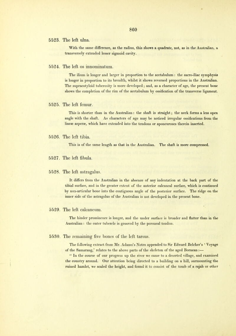 5523. The left ulna. With the same difference, as the radius, this shows a quadrate, not, as in the Australian, a transversely extended lesser sigmoid cavity. 5524. The left os innominatum. The ilium is longer and larger in proportion to the acetabulum: the sacro-iliac symphysis is longer in proportion to its breadth, whilst it shows reversed proportions in the Australian. The supracotyloid tuberosity is more developed; and, as a character of age, the present bone shows the completion of the rim of the acetabulum by ossification of the transverse ligament. 5525. The left femur. This is shorter than in the Australian : the shaft is straight; the neck forms a less open angle with the shaft. As characters of age may be noticed irregular ossifications from the linese asperse, which have extended into the tendons or aponeuroses therein inserted. 5526. The left tibia. This is of the same length as that in the Australian. The shaft is more compressed. 5527. The left fibula. 5528. The left astragalus. It differs from the Australian in the absence of any indentation at the back part of the tibial surface, and in the greater extent of the anterior calcaneal surface, which is continued by non-articular bone into the contiguous angle of the posterior surface. The ridge on the inner side of the astragalus of the Australian is not developed in the present bone. 5529. The left calcaneum. The hinder prominence is longer, and the under surface is broader and flatter than in the Australian: the outer tubercle is grooved by the peroneal tendon. 5530. The remaining five bones of the left tarsus. The following extract from Mr. Adams's Notes appended to Sir Edward Belcher's ' Voyage of the Samarang,' relates to the above parts of the skeleton of the aged Bornean :—  In the course of our progress up the river we came to a deserted village, and examined the country around. Our attention being directed to a building on a hill, surmounting the ruined hamlet, we scaled the height, and found it to consist of the tomb of a rajah or other
