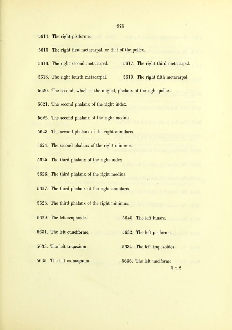 5614. The right pisiforme. 5615. The right first metacarpal, or that of the poUex. 5616. The right second metacarpal. 5617. The right third metacarpal. 5618. The right fourth metacarpal. 5619. The right fifth metacarpal. 5620. The second, which is the ungual, phalanx of the right pollex. 5621. The second phalanx of the right index. 5622. The second phalanx of the right medius. 5623. The second phalanx of the right annularis. 5624. The second phalanx of the right minimus. 5625. The third phalanx of the right index. 5626. The third phalanx of the right medius. 5627. The third phalanx of the right annularis. 5628. The third phalanx of the right minimus. 5629. The left scaphoides. 5630. The left lunare. 5631. The left cuneiforme. 5632. The left pisiforme. 5633. The left trapezium. 5634. The left trapezoi'des. 5635. The left os magnum. 5636. The left unciforme. 5 T 2