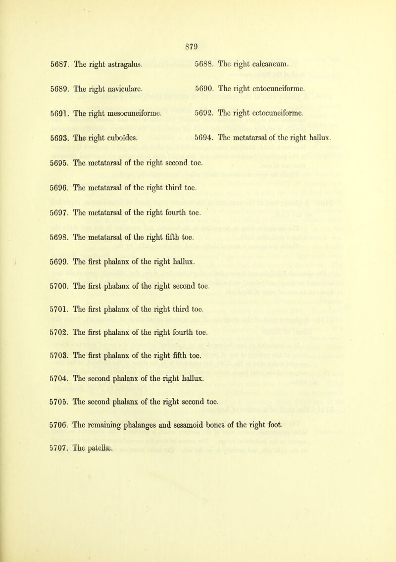 5687. The right astragalus. 5688. The right calcaneum. 5689. The right naviculare. 5690. The right entocuneiforme. 5691. The right mesocuneiforme. 5693. The right ectocuneiforme. 5693. The right cuboides. 5694. The metatarsal of the right hallux. 5695. The metatarsal of the right second toe. 5696. The metatarsal of the right third toe. 5697. The metatarsal of the right fourth toe. 5698. The metatarsal of the right fifth toe. 5699. The first phalanx of the right hallux. 5700. The first phalanx of the right second toe. 5701. The first phalanx of the right third toe. 5702. The first phalanx of the right fourth toe. 5703. The first phalanx of the right fifth toe. 5704. The second phalanx of the right hallux. 5705. The second phalanx of the right second toe. 5706. The remaining phalanges and sesamoid bones of the right foot. 5707. The pateU^.