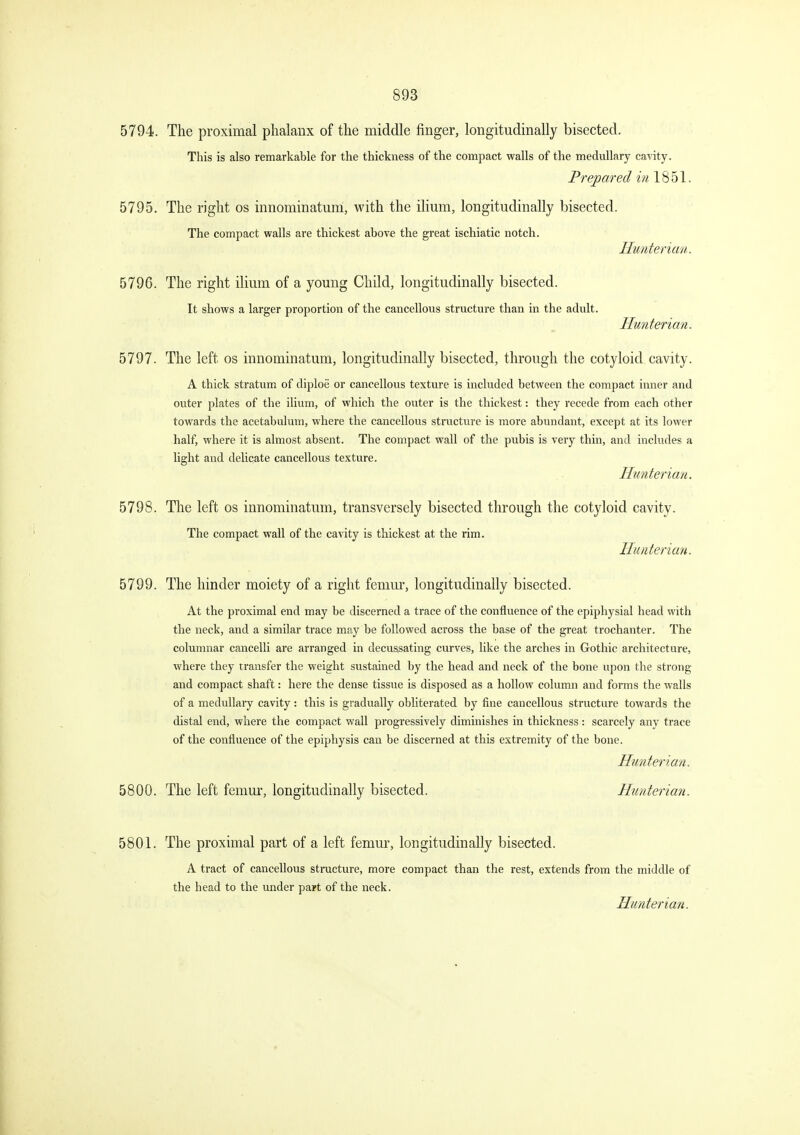 5794. The proximal phalanx of the middle finger, longitudinally bisected. This is also remarkable for the thickness of the compact walls of the medullary cavity. Prepared 18 51. 5795. The right os innominatum, with the ilium, longitudinally bisected. The compact walls are thickest above the great ischiatic notch. 5796. The right ilium of a young Child, longitudinally bisected. It shows a larger proportion of the cancellous structure than in the adult. Hunter ian. Hunterian. 5797. The left os innominatum, longitudinally bisected, through the cotyloid cavity. A thick stratum of diploe or cancellous texture is included between the compact inner and outer plates of the ilium, of which the outer is the thickest: they recede from each other towards the acetabulum, where the cancellous structure is more abundant, except at its lower half, where it is almost absent. The compact wall of the pubis is very thin, and includes a light and delicate cancellous texture. Hunterian. 5798. The left os innominatum, transversely bisected through the cotyloid cavity. The compact wall of the cavity is thickest at the rim. Hunterian. 5799. The hinder moiety of a right femur, longitudinally bisected. At the proximal end may be discerned a trace of the confluence of the epiphysial head with the neck, and a similar trace may be followed across the base of the great trochanter. The columnar cancelli are arranged in decussating curves, like the arches in Gothic architecture, where they transfer the weight sustained by the head and neck of the bone upon the strong and compact shaft: here the dense tissue is disposed as a hollow column and forms the walls of a medullary cavity: this is gradually obliterated by fine cancellous structure towards the distal end, where the compact wall progressively diminishes in thickness : scarcely any trace of the confluence of the epiphysis can be discerned at this extremity of the bone. Hunterian. 5800. The left femm*, longitudinally bisected. Hnnterian. 5801. The proximal part of a left femur, longitudinally bisected. A tract of cancellous structure, more compact than the rest, extends from the middle of the head to the under part of the neck.