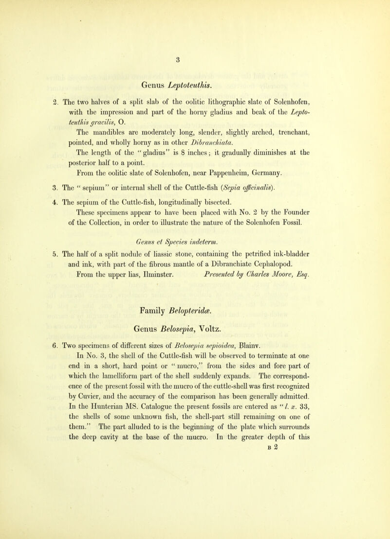 Genus Leptoteuthis. The two halves of a split slab of the oolitic lithographic slate of Solenhofen, with the impression and part of the horny gladius and beak of the Lepto- teuthis gracilis, O. The mandibles are moderately long, slender, slightly arched, trenchant, pointed, and wholly horny as in other Dibrmichiata. The length of the gladius is 8 inches; it gradually diminishes at the posterior half to a point. From the oolitic slate of Solenhofen, near Pappenheim, Germany. The  sepium or internal shell of the Cuttle-fish {Sepia officinalis). The sepium of the Cuttle-fish, longitudinally bisected. These specimens appear to have been placed with No. 2 by the Founder of the Collection, in order to illustrate the nature of the Solenhofen Fossil. Gems et Species indeterm. 5. The half of a split nodule of liassic stone, containing the petrified ink-bladder and ink, with part of the fibrous mantle of a Dibranchiate Cephalopod. From the upper Has, Ilminster. Presented by Charles Moore, Esg. Family Belopterida. Genus Belosepia, Voltz. 6. Two specimens of different sizes of Belosepia sepioidea, Blainv. In No. 3, the shell of the Cuttle-fish will be observed to terminate at one end in a short, hard point or  mucro, from the sides and fore part of which the lamelliform part of the shell suddenly expands. The correspond- ence of the present fossil with the mucro of the cuttle-sheU was first recognized by Cuvier, and the accuracy of the comparison has been generally admitted. In the Hunterian MS. Catalogue the present fossils are entered as x. 33, the shells of some unknown fish, the shell-part still remaining on one of them. The part alluded to is the beginning of the plate which surrounds the deep cavity at the base of the mucro. In the greater depth of this B 2 3. 4.